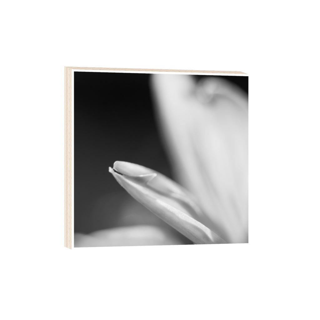 ptq_29_0_0_0_2624_2624_0_true_ffffff_1_1_.png