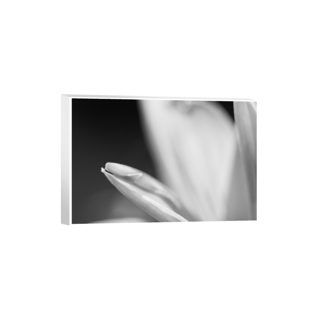 ptq_7_3_0_218_3280_2186_0_true_ffffff_1_1_.png