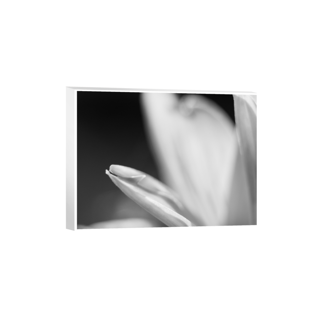 ptq_7_5_0_24_3280_2460_0_true_ffffff_1_1_.png