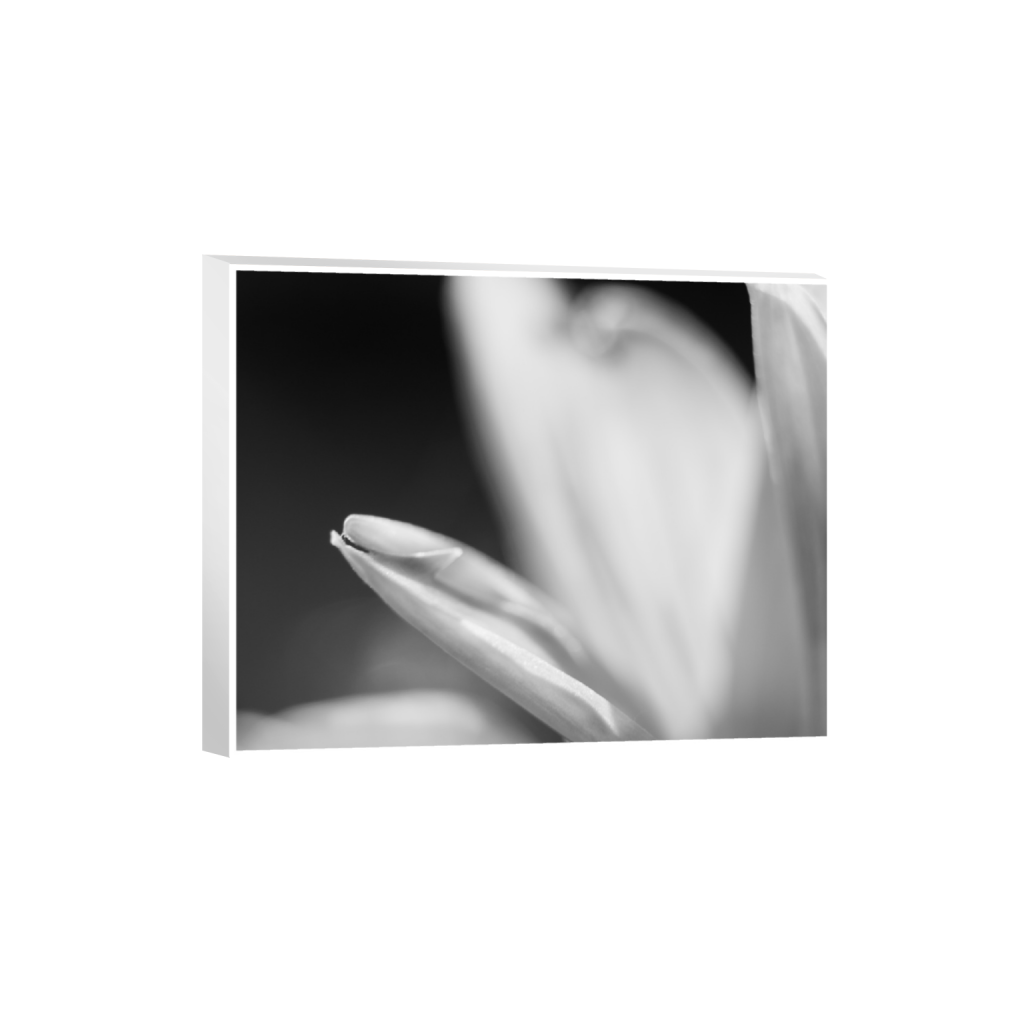 ptq_7_6_0_0_3280_2624_0_true_ffffff_1_1_.png