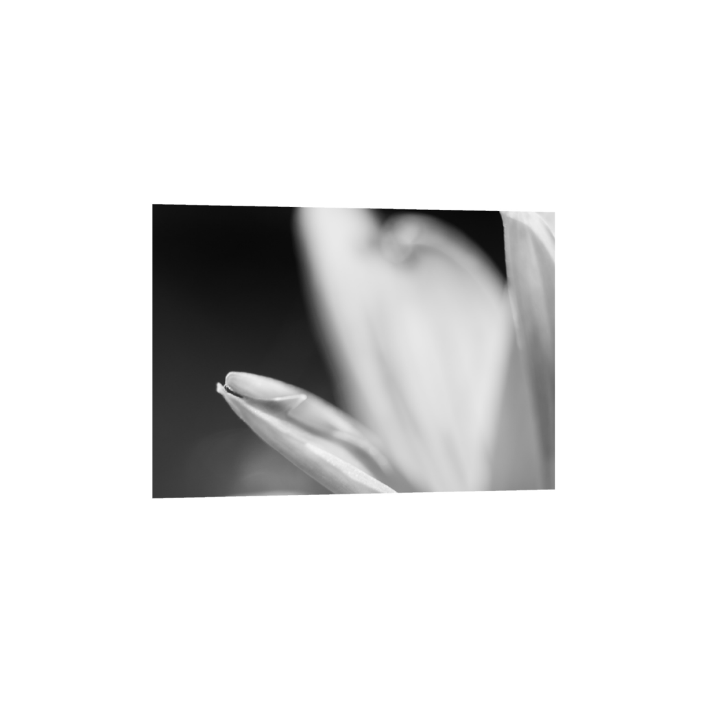 ptq_34_7_0_0_3280_2342_0_true_ffffff_1_1_.png
