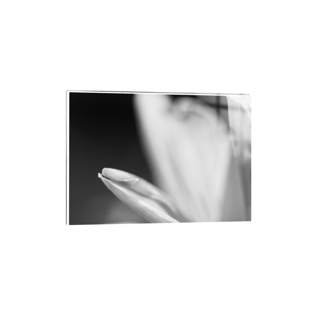 ptq_13_7_0_0_3280_2342_0_true_ffffff_1_1_.png