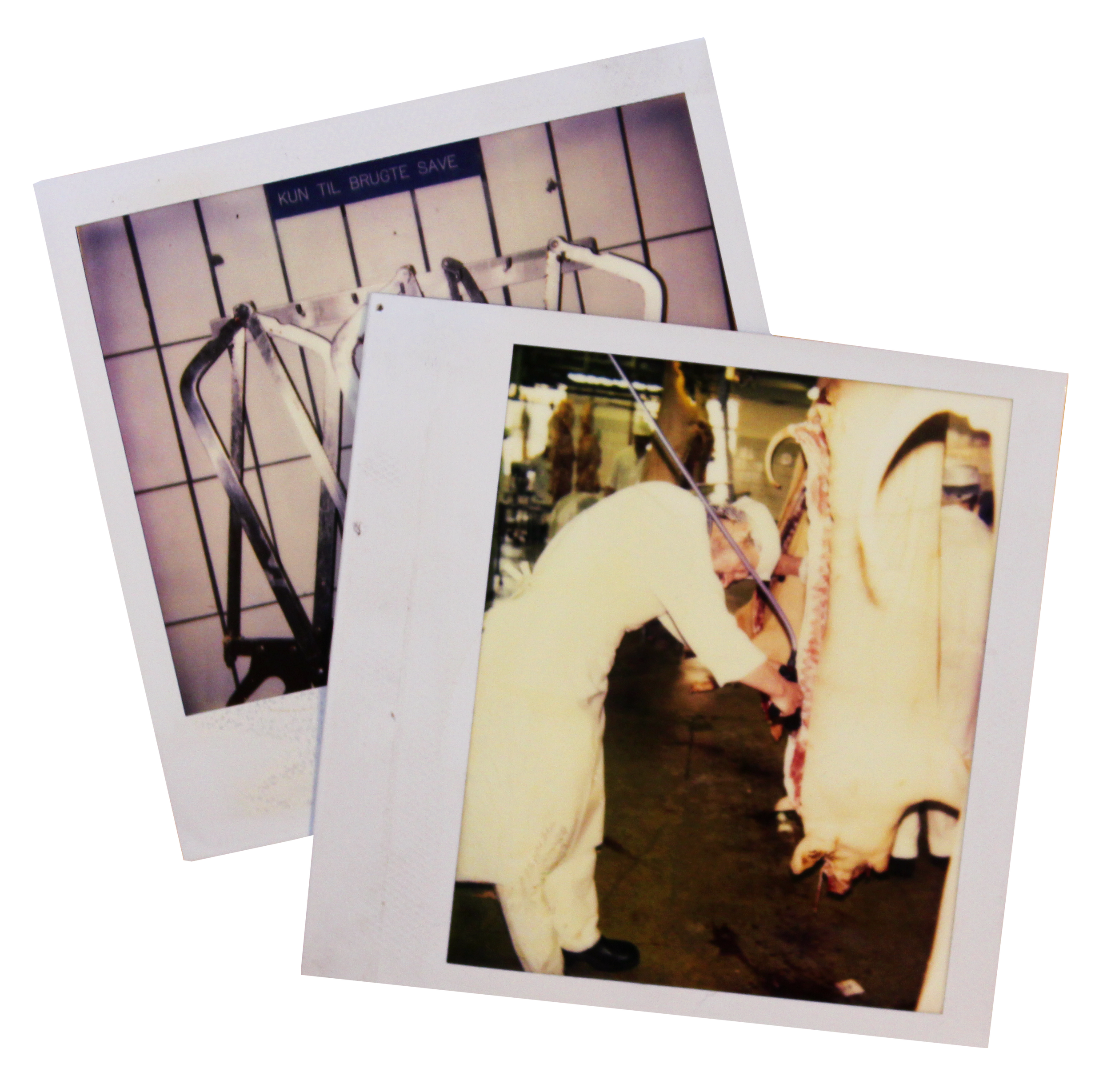 Two vintage photographs of butchery scenes, with one showing meat hooks and the other a butcher in white uniform cutting meat.