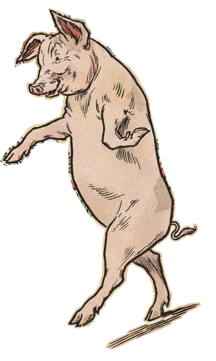 An illustrated pig standing on its hind legs with front legs resting on a surface, with a happy expression.