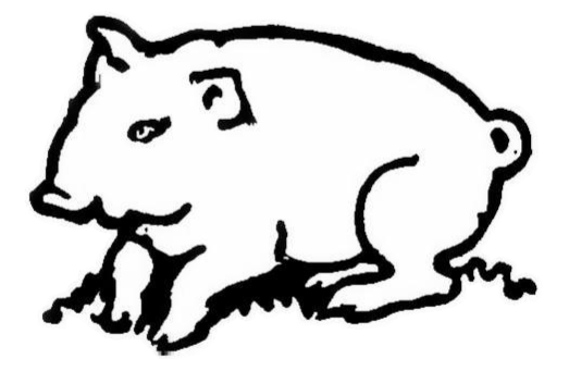 A simple black and white line drawing of a pig.