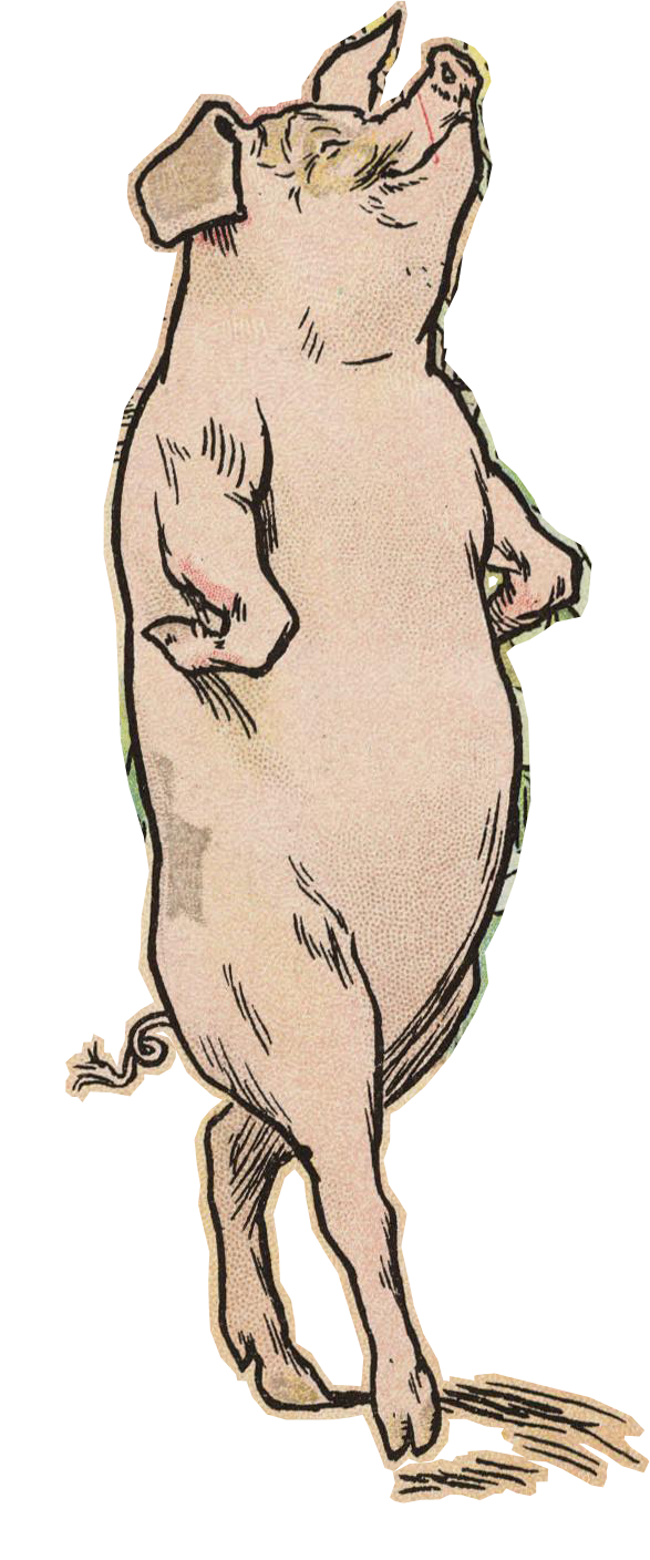 A cartoon pig standing on two legs with its head tilted back.