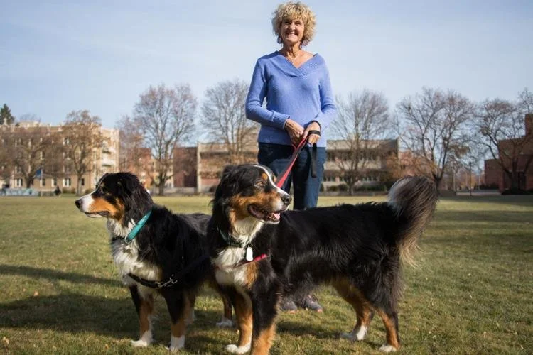 Who let the dogs in? Dogs at Gonzaga benefit students' wellbeing
