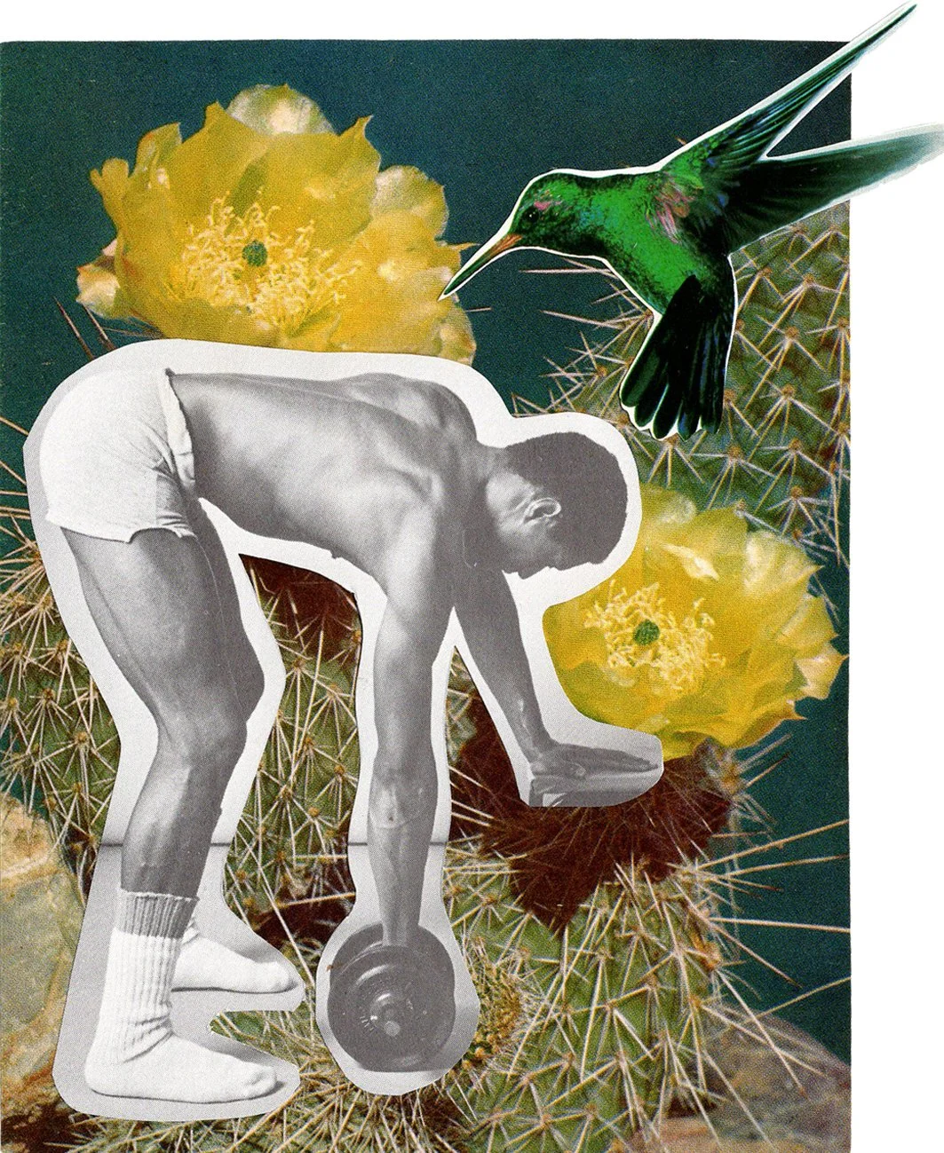 HUMMING_BIRD.jpg