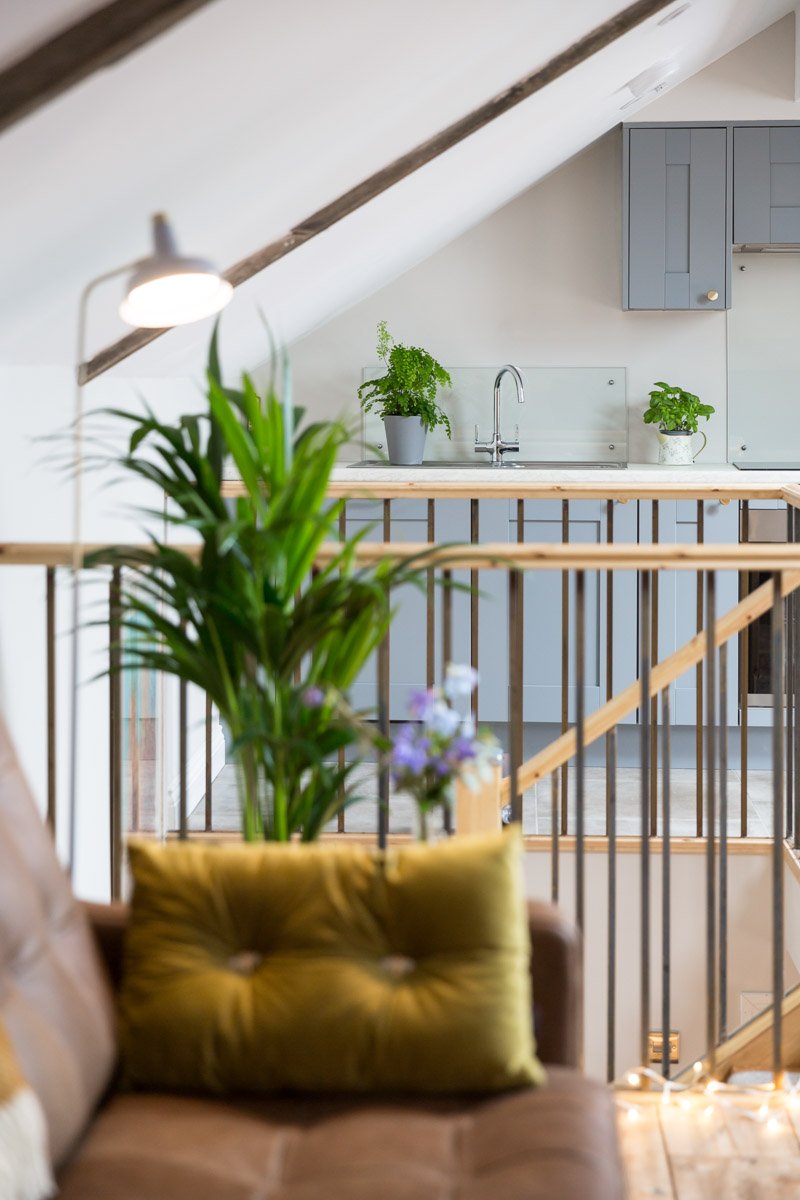  portrait image of kitchen detail, plant and sofa out of focus in foreground 