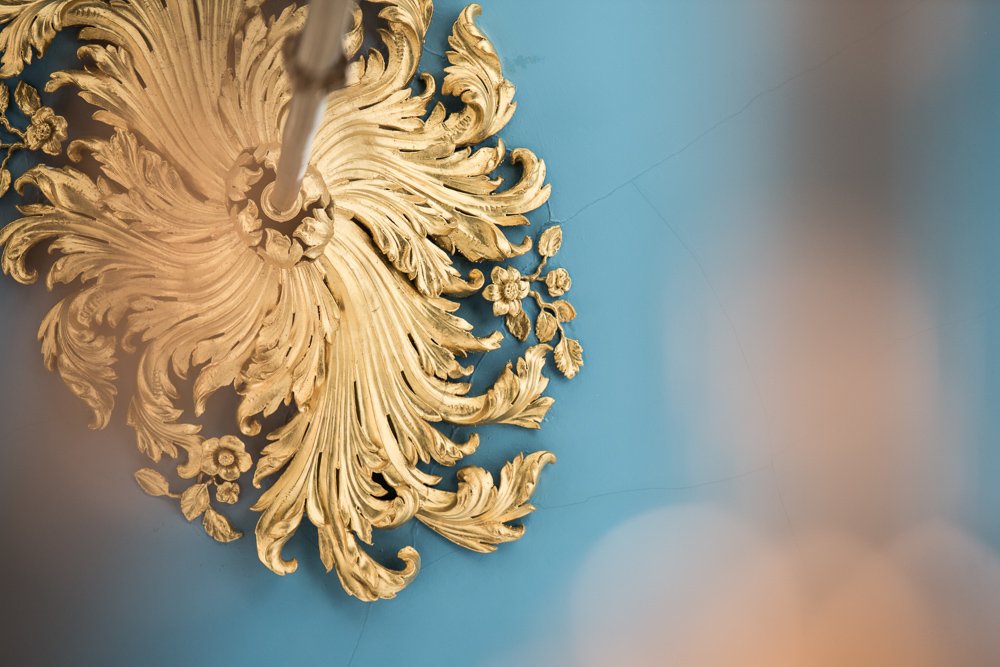  detail of a gold ceiling rose in Doncaster Mansion House having been recently restored 