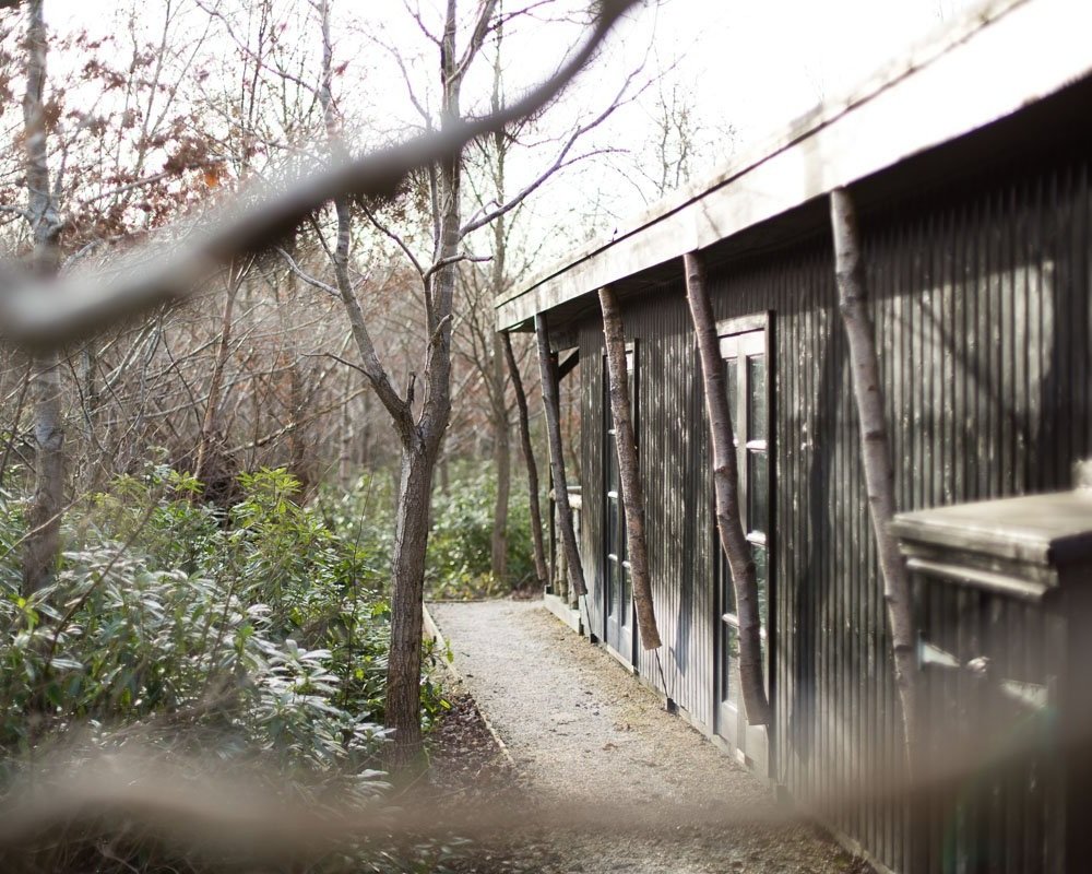 external shot of wooden cabin surrounded by trees