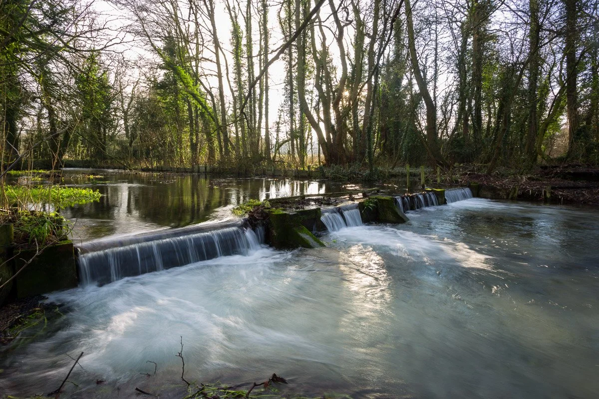 view over small waterfall towards woodland