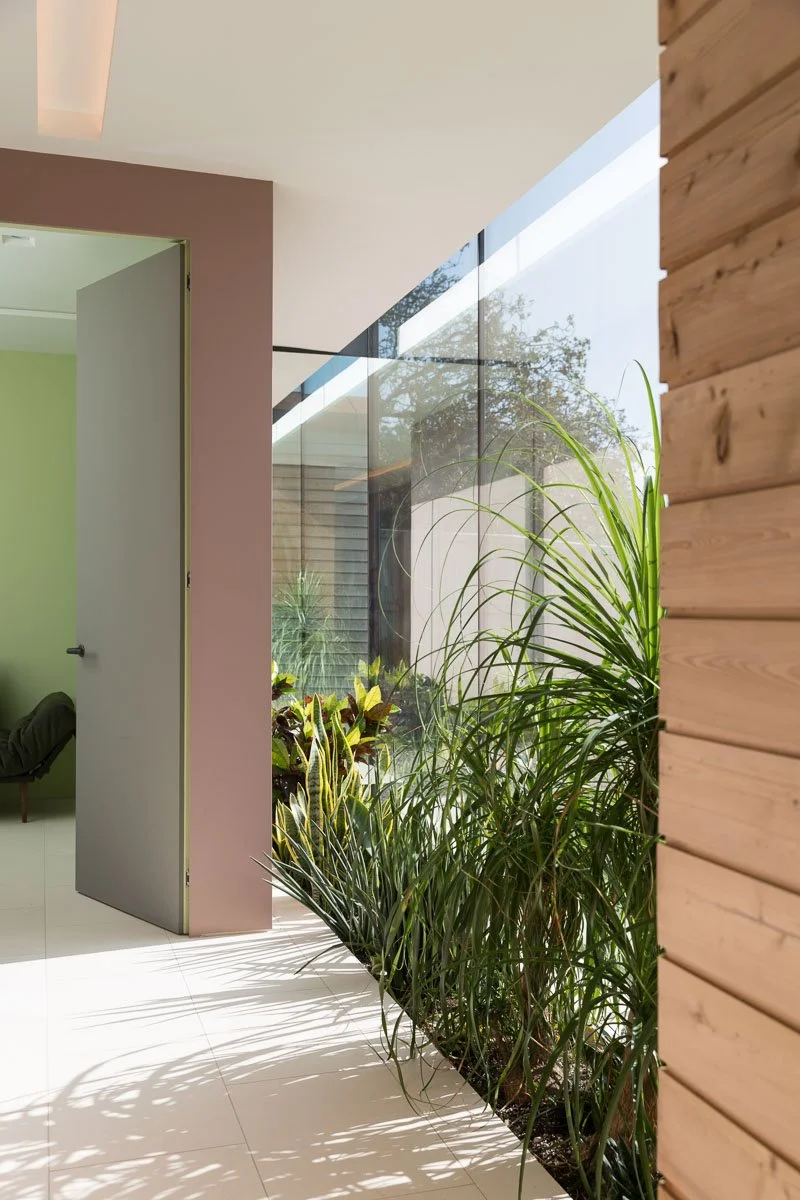 portrait image of architect build eco home hallway with ceiling high glass windows, wood panelling