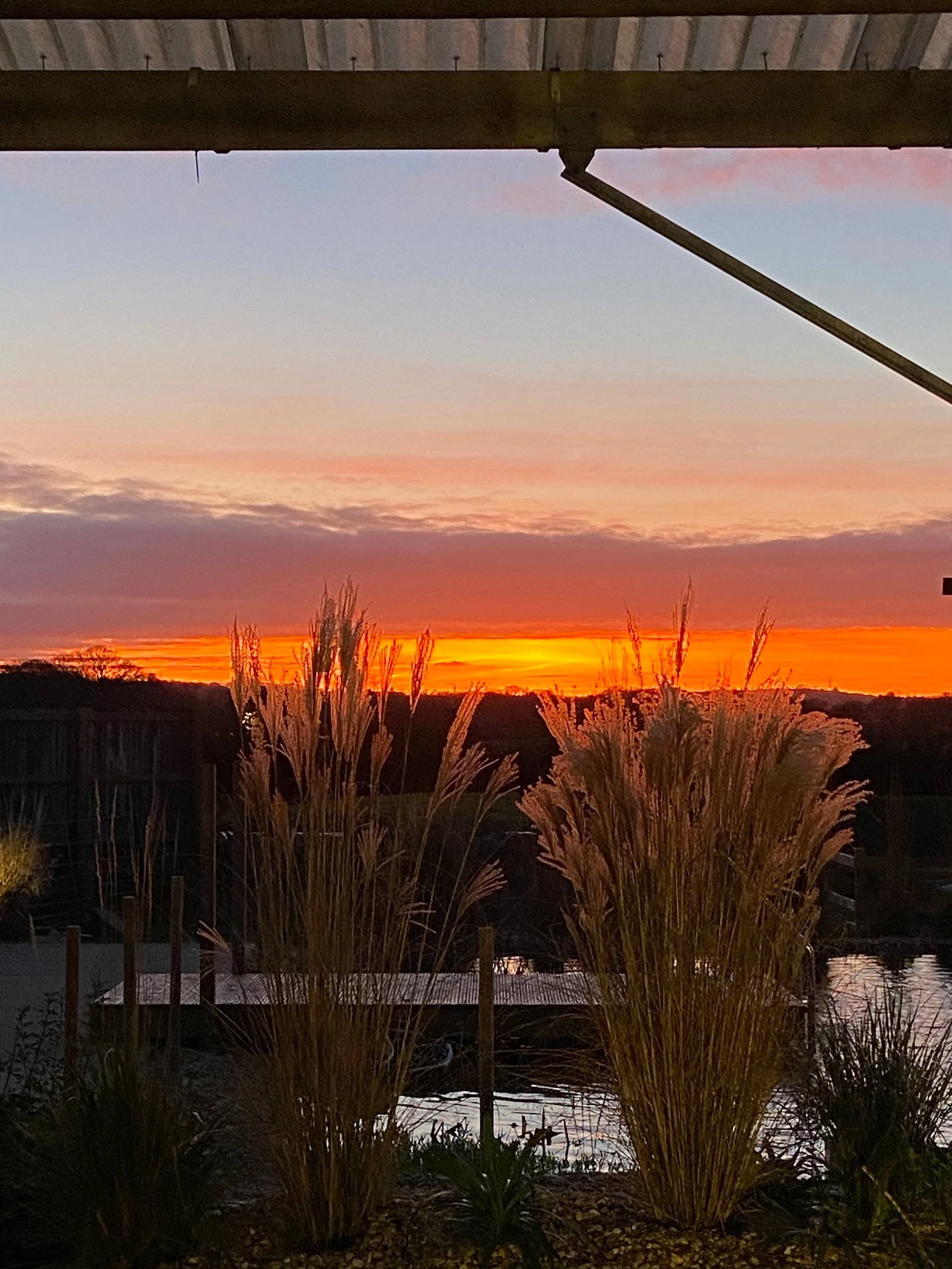 Sunset over a landscape with tall grasses, a body of water, trees, and a wooden structure in the foreground.
