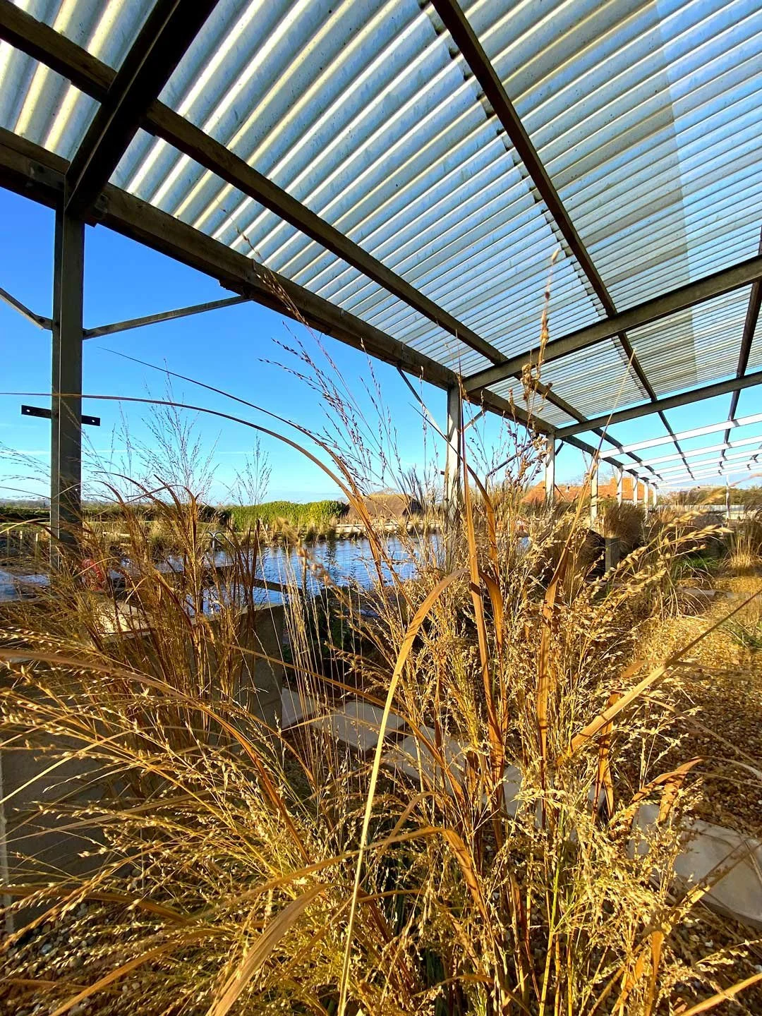 View of dried grasses under a transparent roof with a blue sky, water, and greenery in the background.