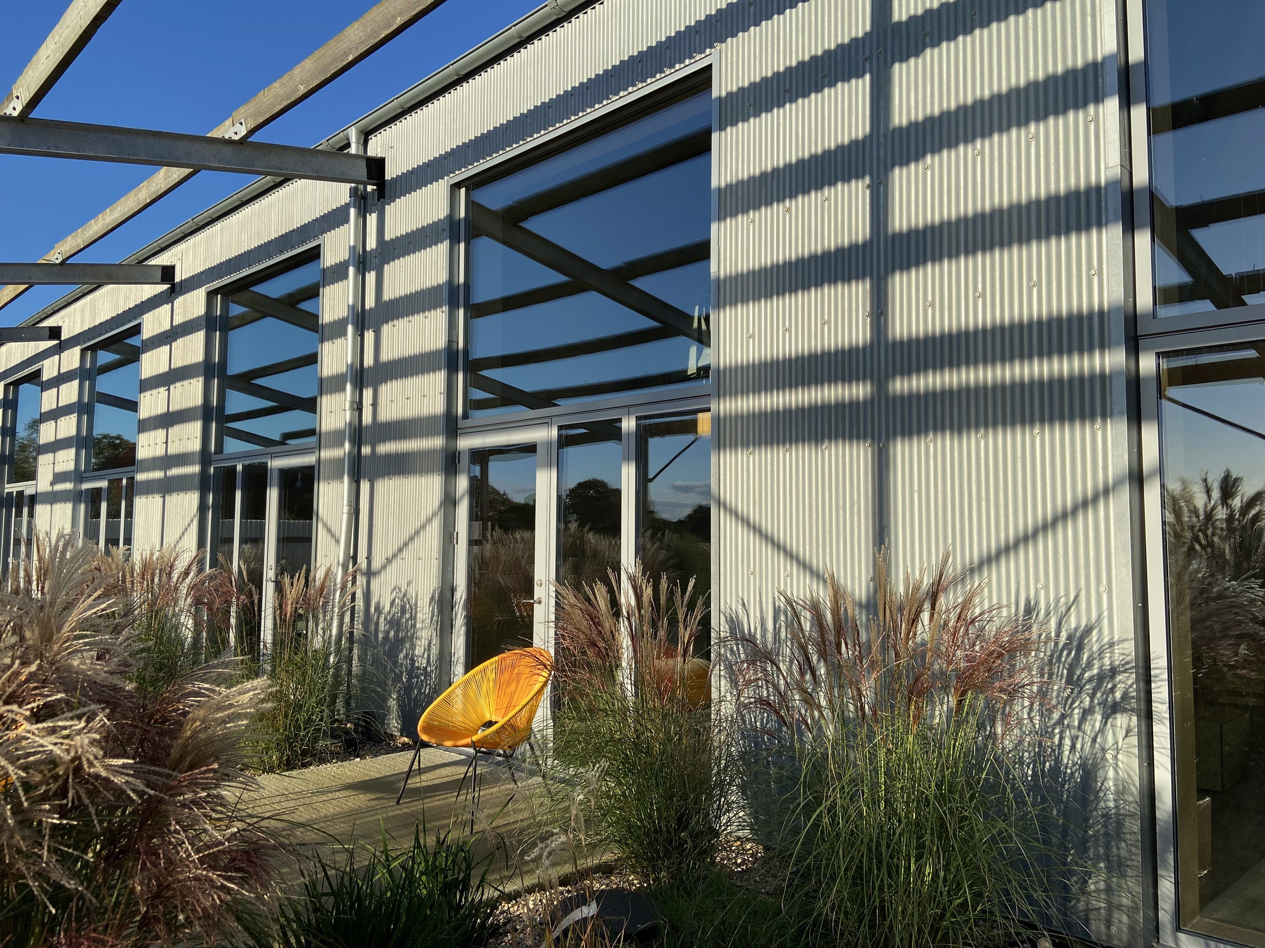 Modern building with metal siding and large windows, surrounded by tall ornamental grasses, with a yellow chair outside on a deck, under a clear blue sky.