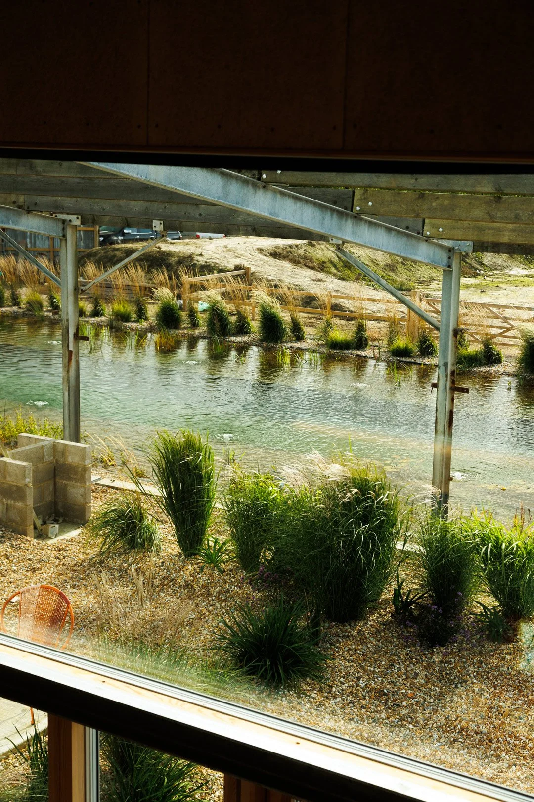View of a pond or small lake with tall grasses and plants along the shoreline, seen through a window from inside a building.