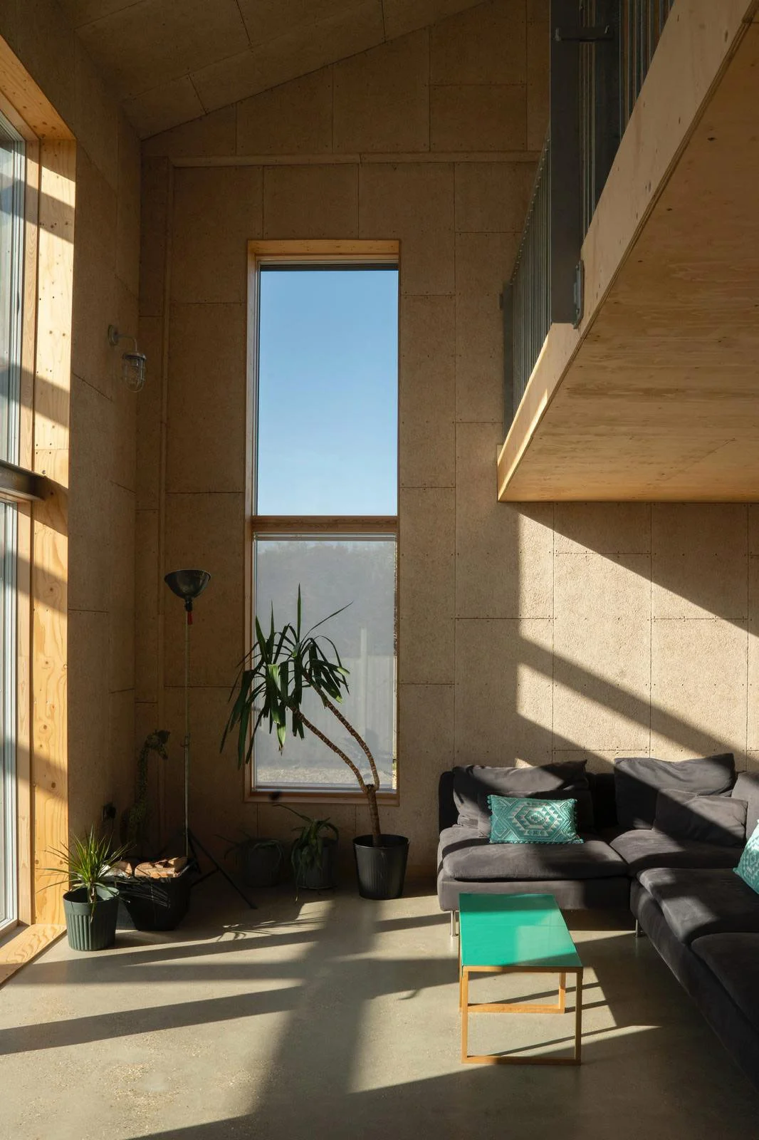 Living room with a modern gray sectional sofa, teal pillows, a glass-topped side table, tall indoor plants, large windows with sunlight, and a wooden and concrete interior design.
