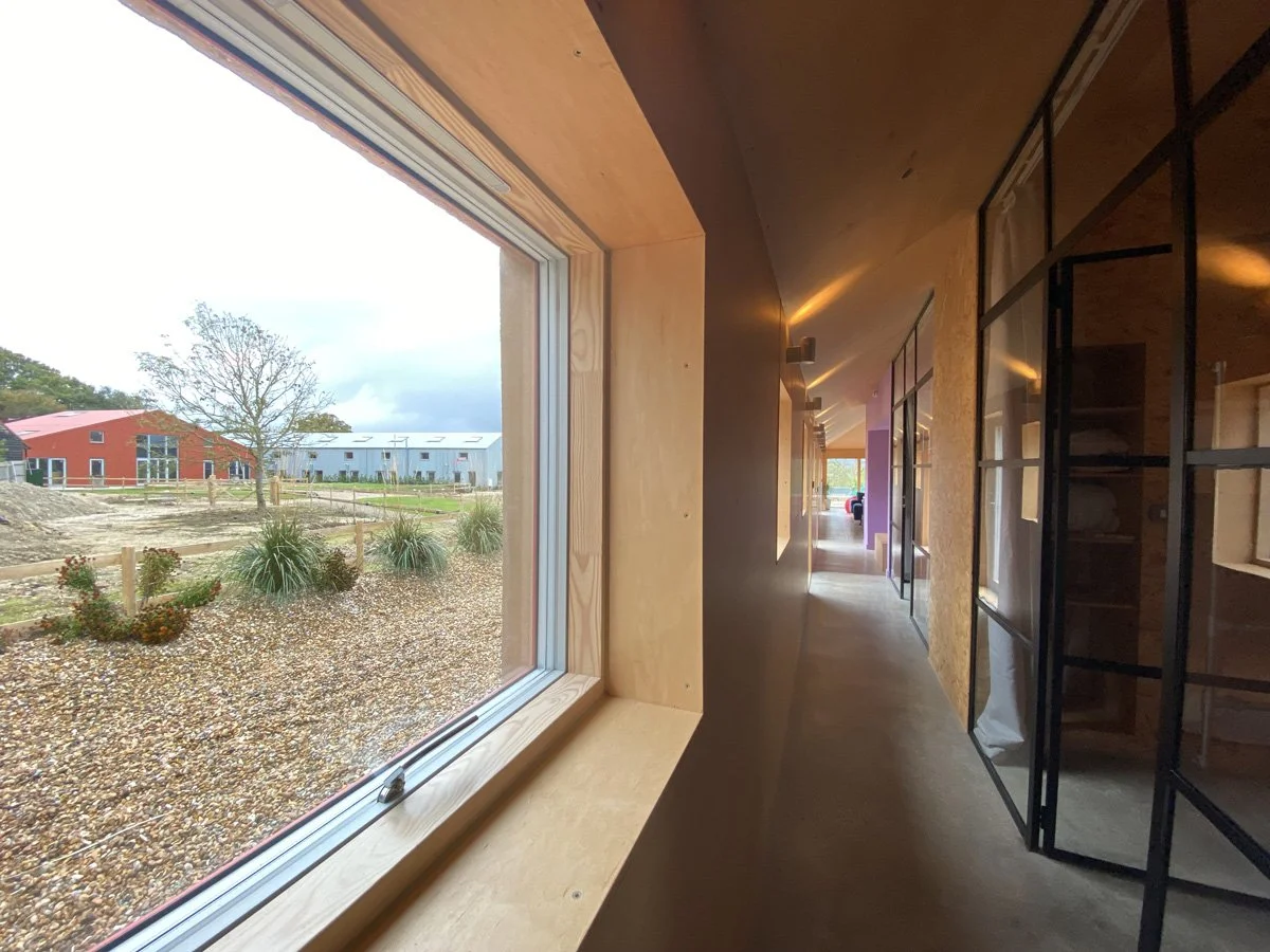 Interior view of a modern building hallway with large windows looking out to a landscaped outdoor area with plants, gravel, and colorful buildings in the distance.