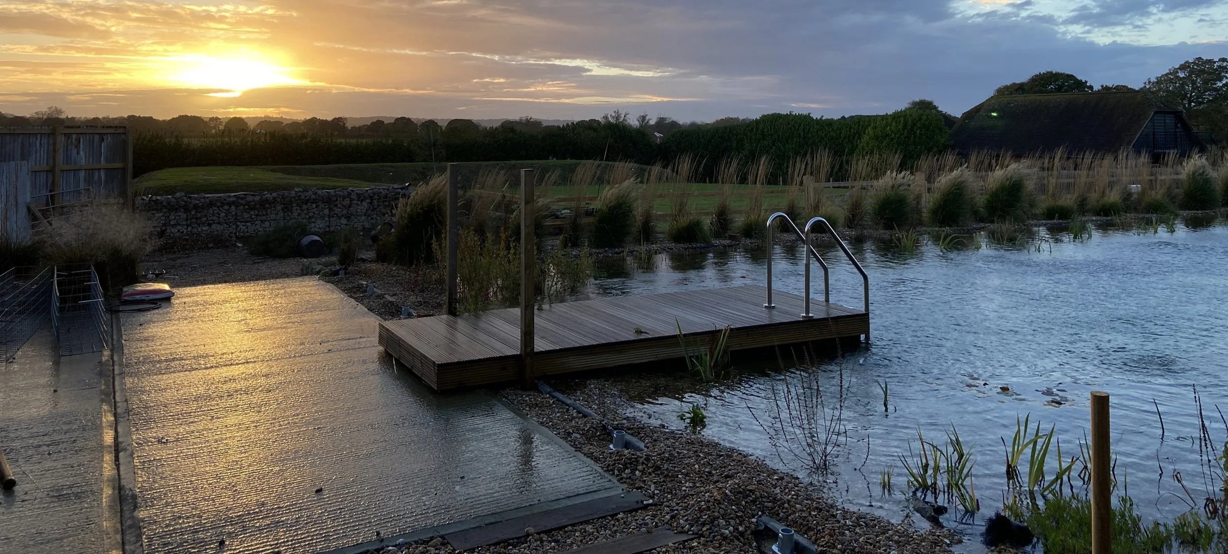 A natural poolside scene at sunset with a small wooden jetty that has metal handrails extending into the water. The pool is bordered by plants and a gravel shoreline, with a grassy field, trees, and a barn in the background.