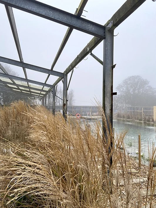 swimming-pond-landscape2.jpeg