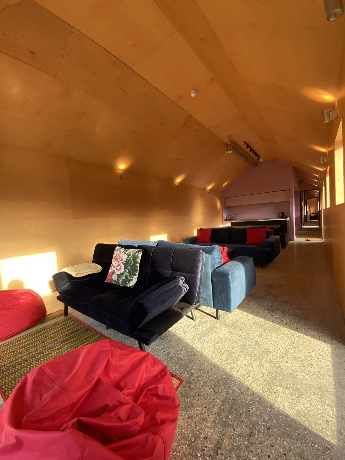 Modern living room with brown wooden sloped ceiling, multiple black and blue couches with red and floral pillows, red bean bags, and a colorful rug on polished concrete floor. Sunlight streams through window, creating bright patches on the furniture.