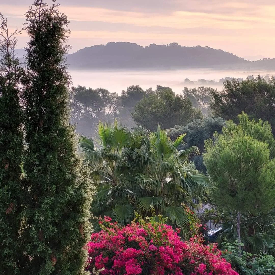 WhatsApp Image 2024-07-03 at 19.14.51.jpeg