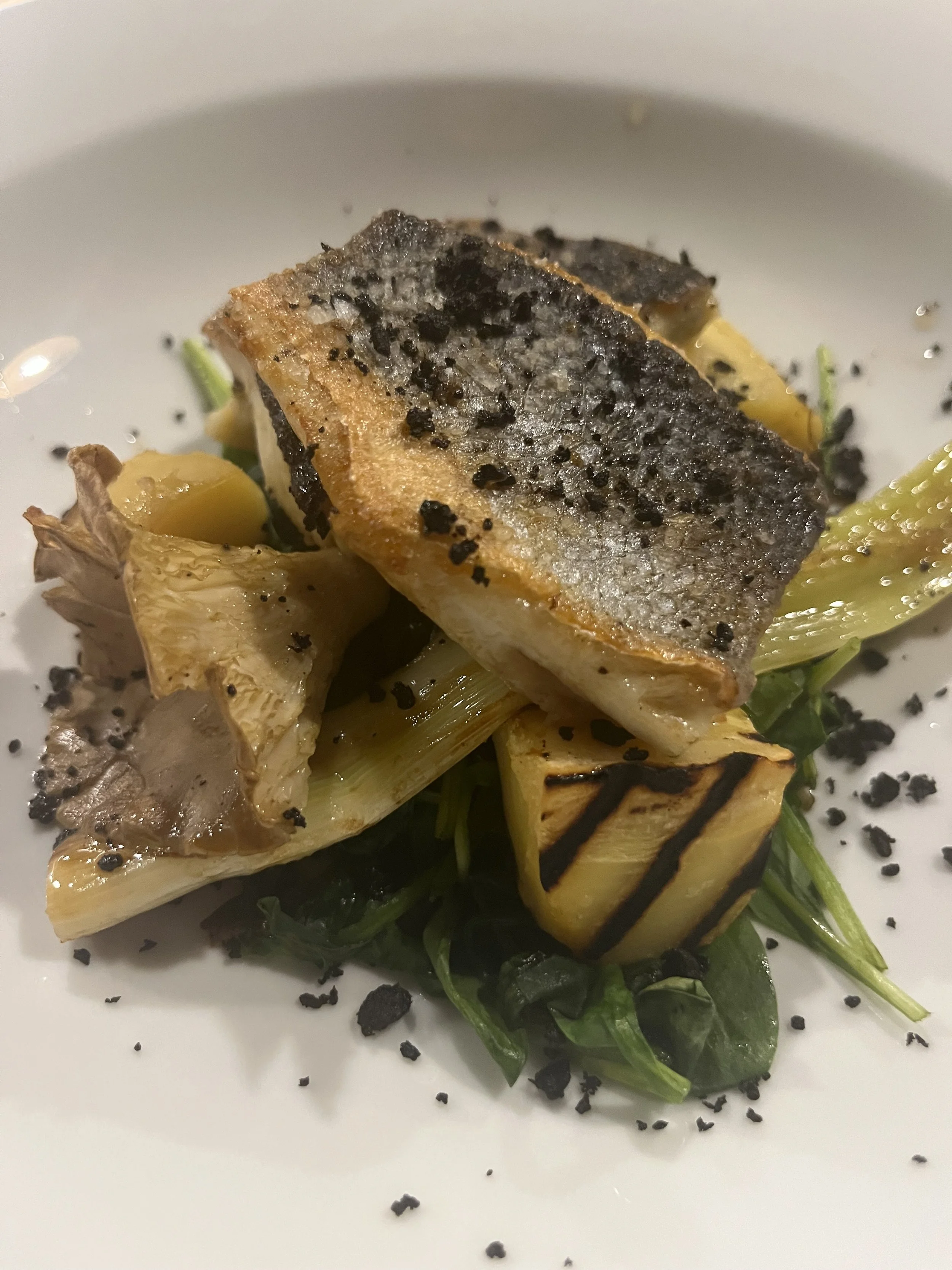 Gebackenes Fischfilet mit schwarzen Trüffelstücken auf einer grünen Betauflanze, garniert mit schwarzen Trüffelsplittern und Grillmarkierungen auf der Oberfläche, serviert auf einem weißen Teller.
