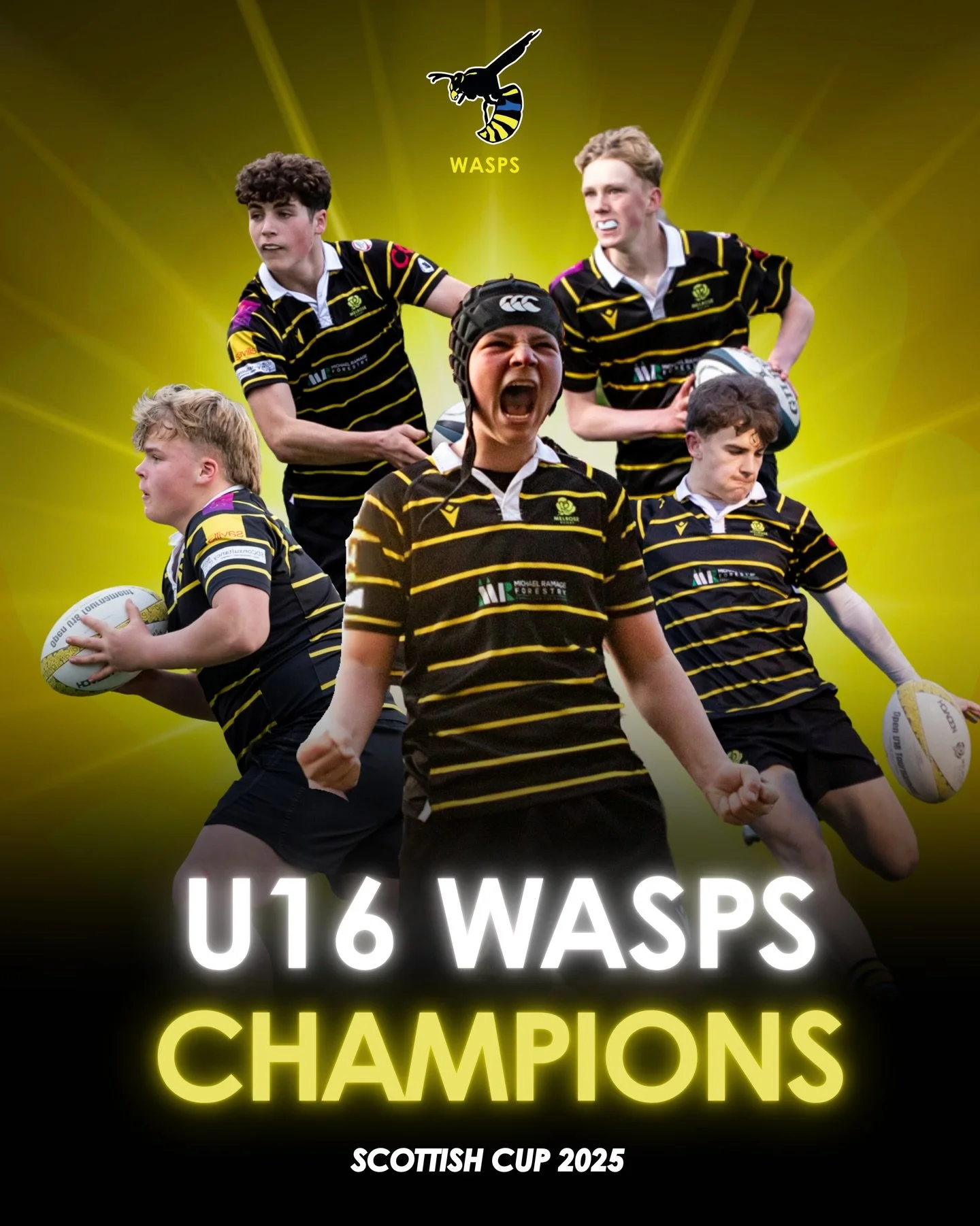 🏆🏆🏆

#MelroseWasps🐝