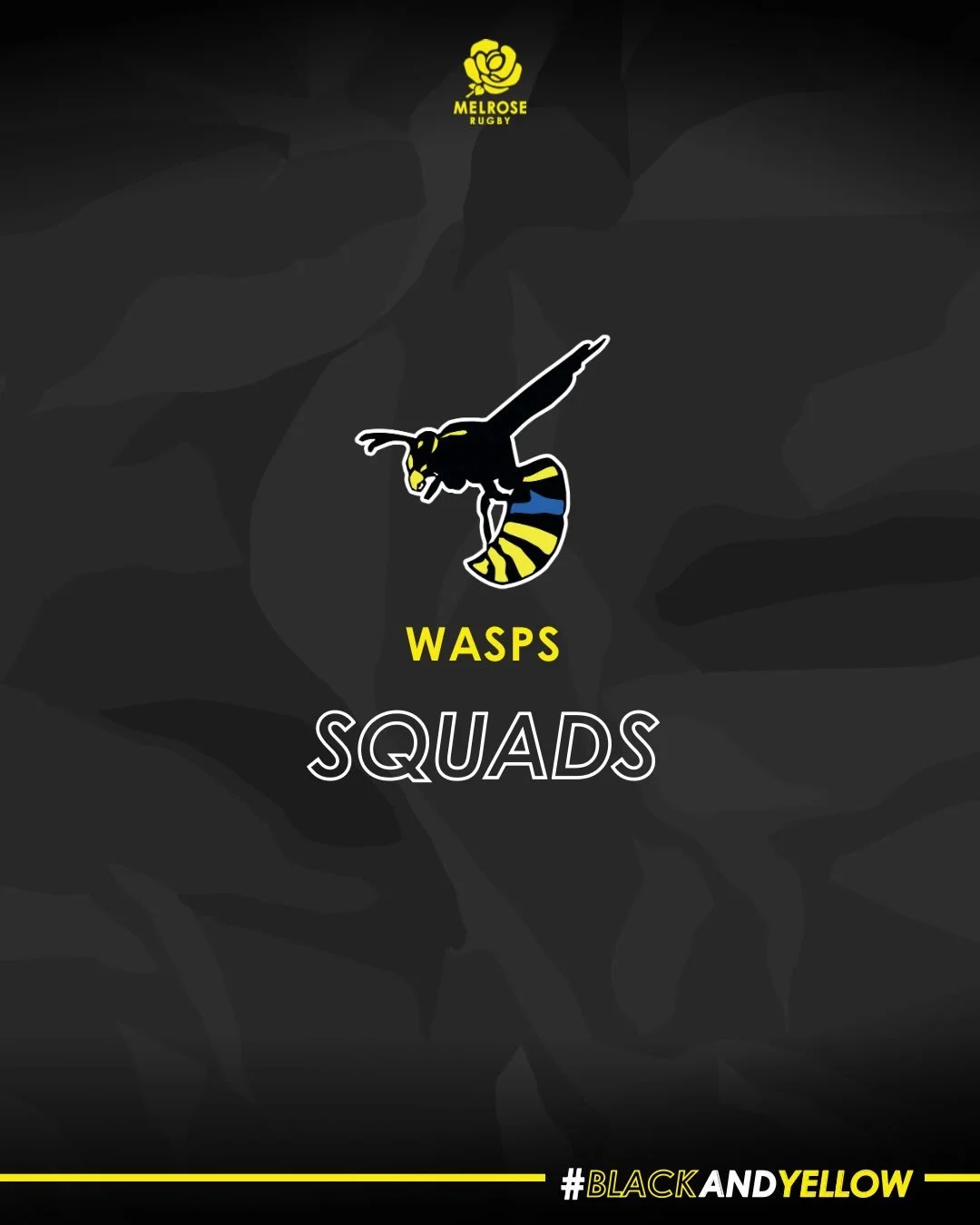 W A S P S |  This weekend&rsquo;s youth squads 🐝🐝

Fixture details below ⬇️ (Subject to change)

U13s 🆚 Stewart&rsquo;s Melville
🕥 10:30AM
📍 Away

U14s 🆚 Stewart&rsquo;s Melville
🕥 10:30AM
📍 Away

U15s 🆚 Stewart&rsquo;s Melville
🕥 10:30AM
?