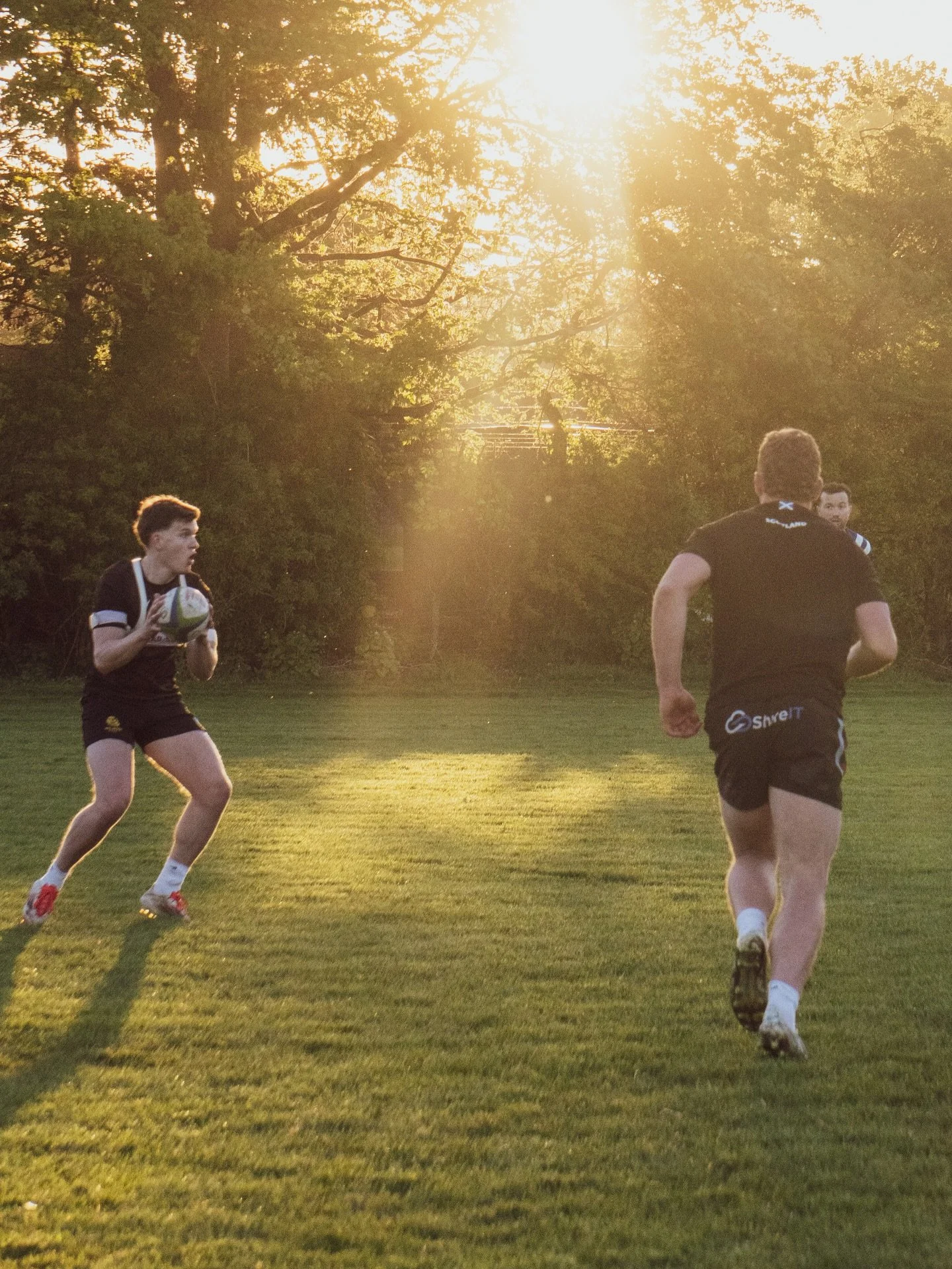 Sevens in the sun☀️

#blackandyellow🐝