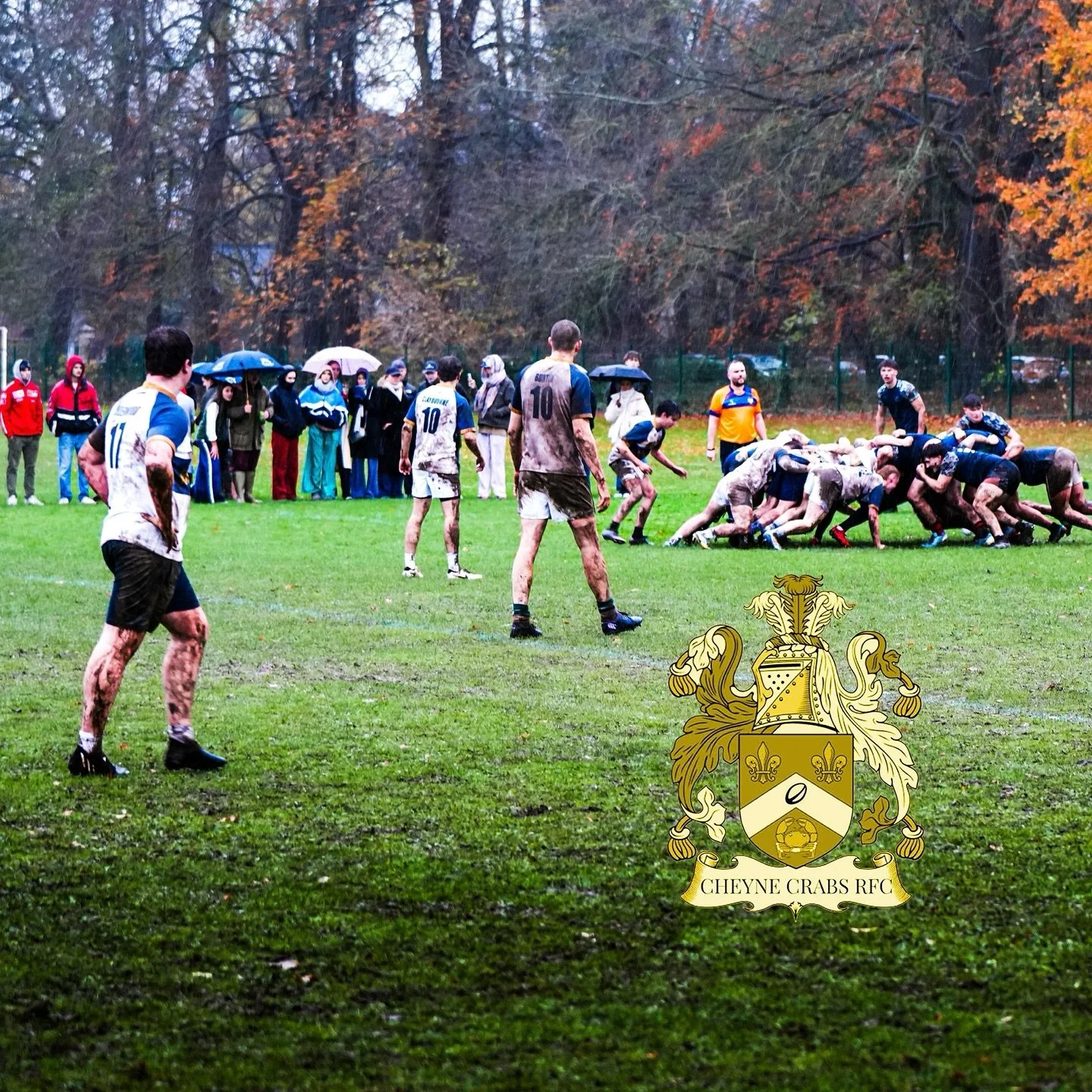 CHEYNE CRABS 

@cheynecrabs