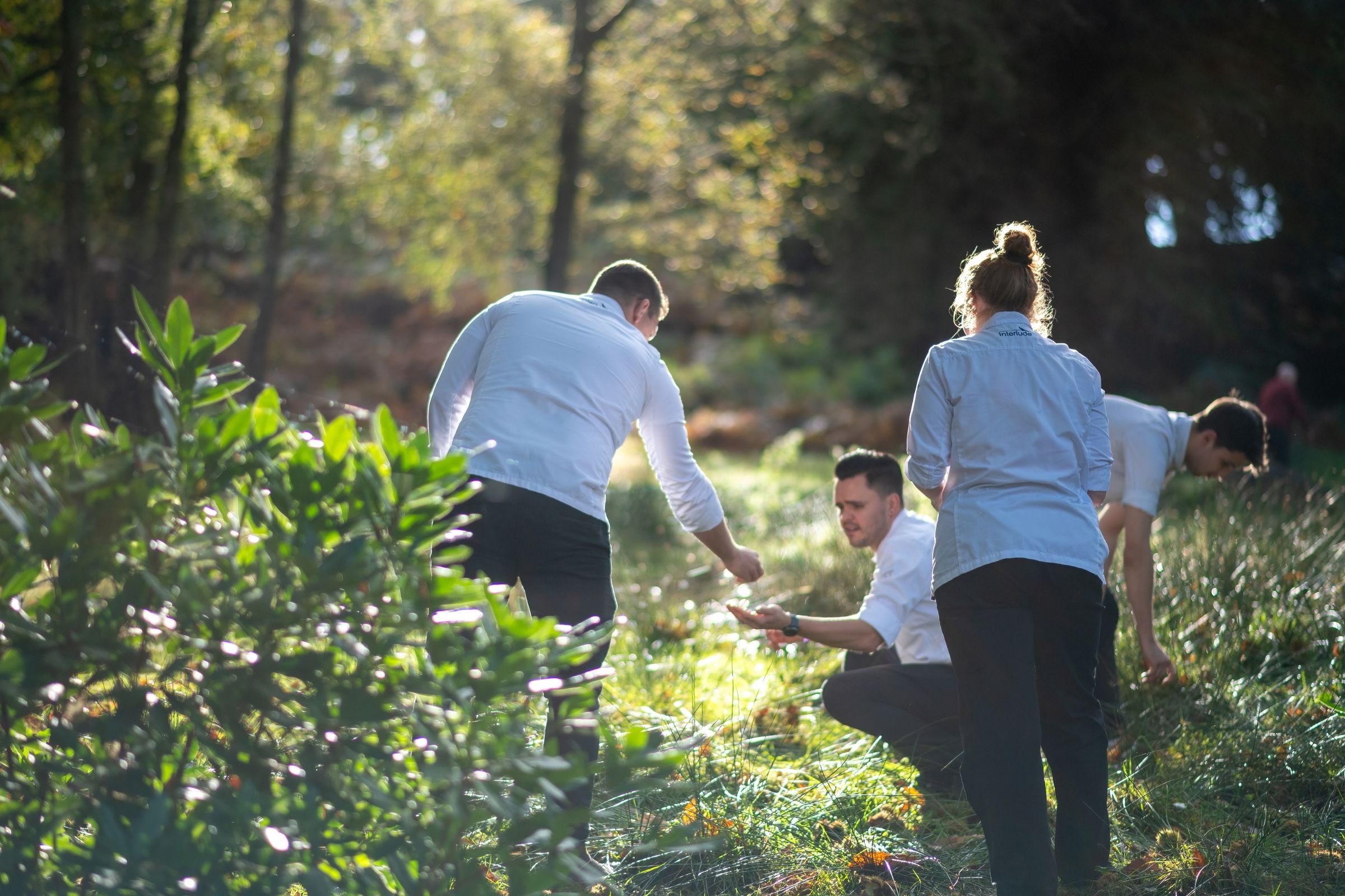 Interlude-foraging-gardens-michelin-star.jpg