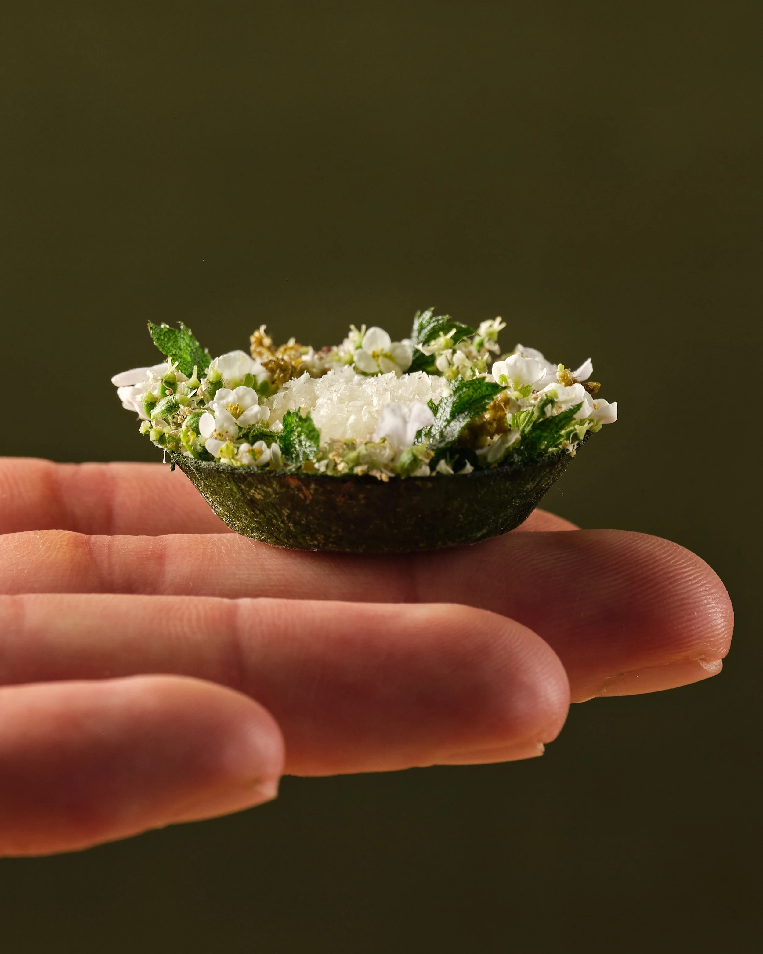 Jean interlude leonardslee.jpg