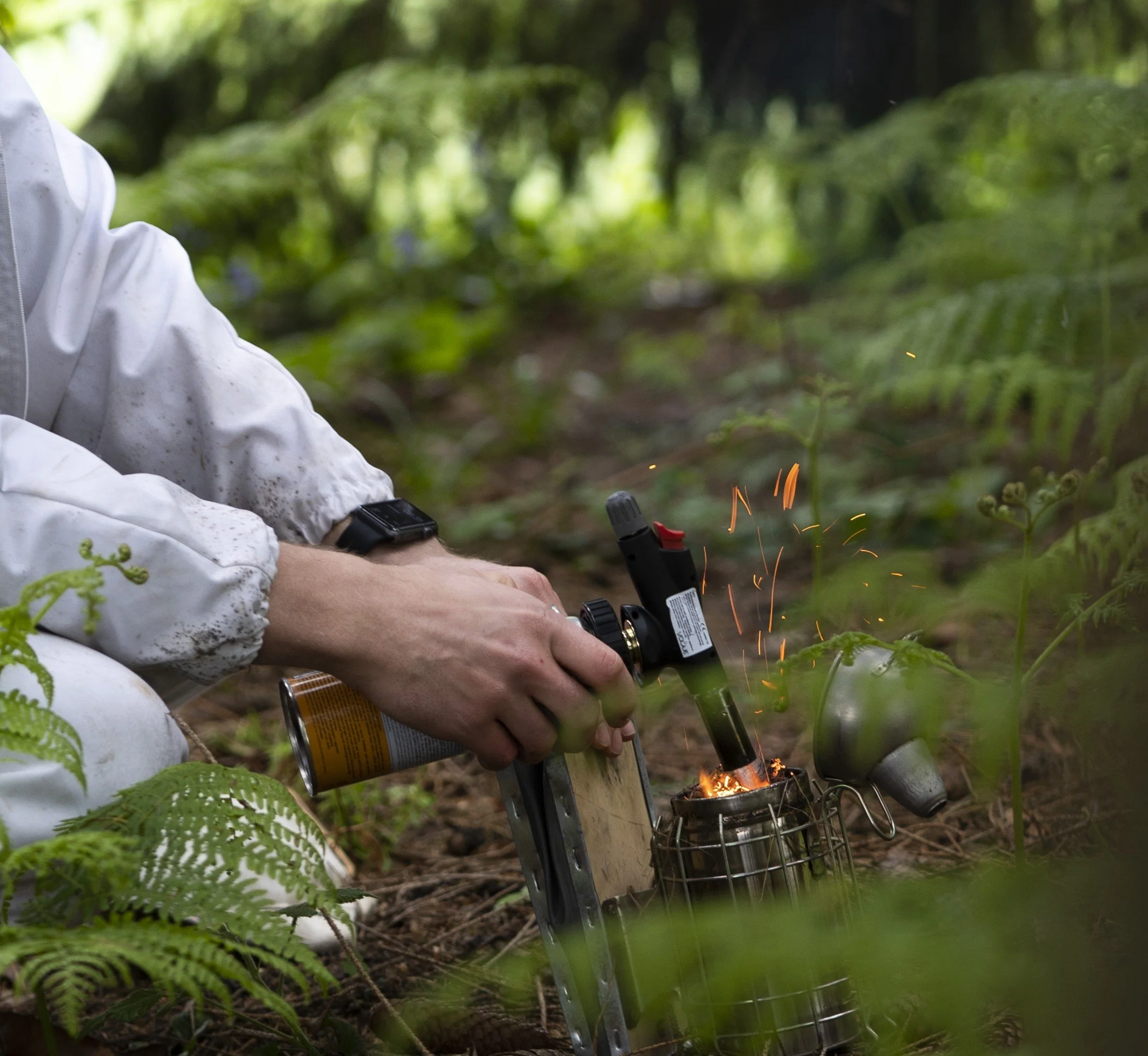 honey foraging Interlude Chef Jean.jpg