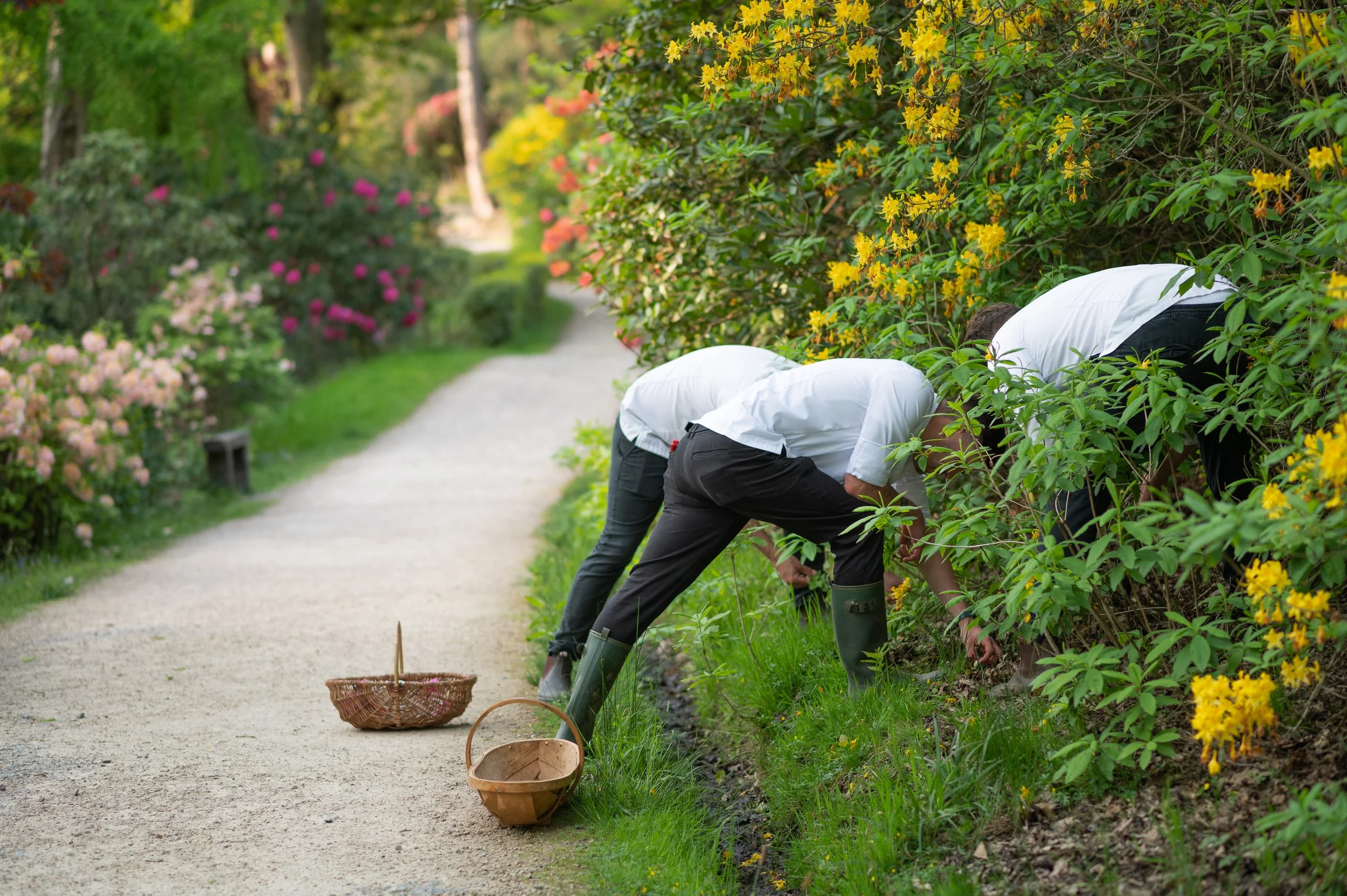 Spring Awakening at Restaurant Interlude&nbsp;