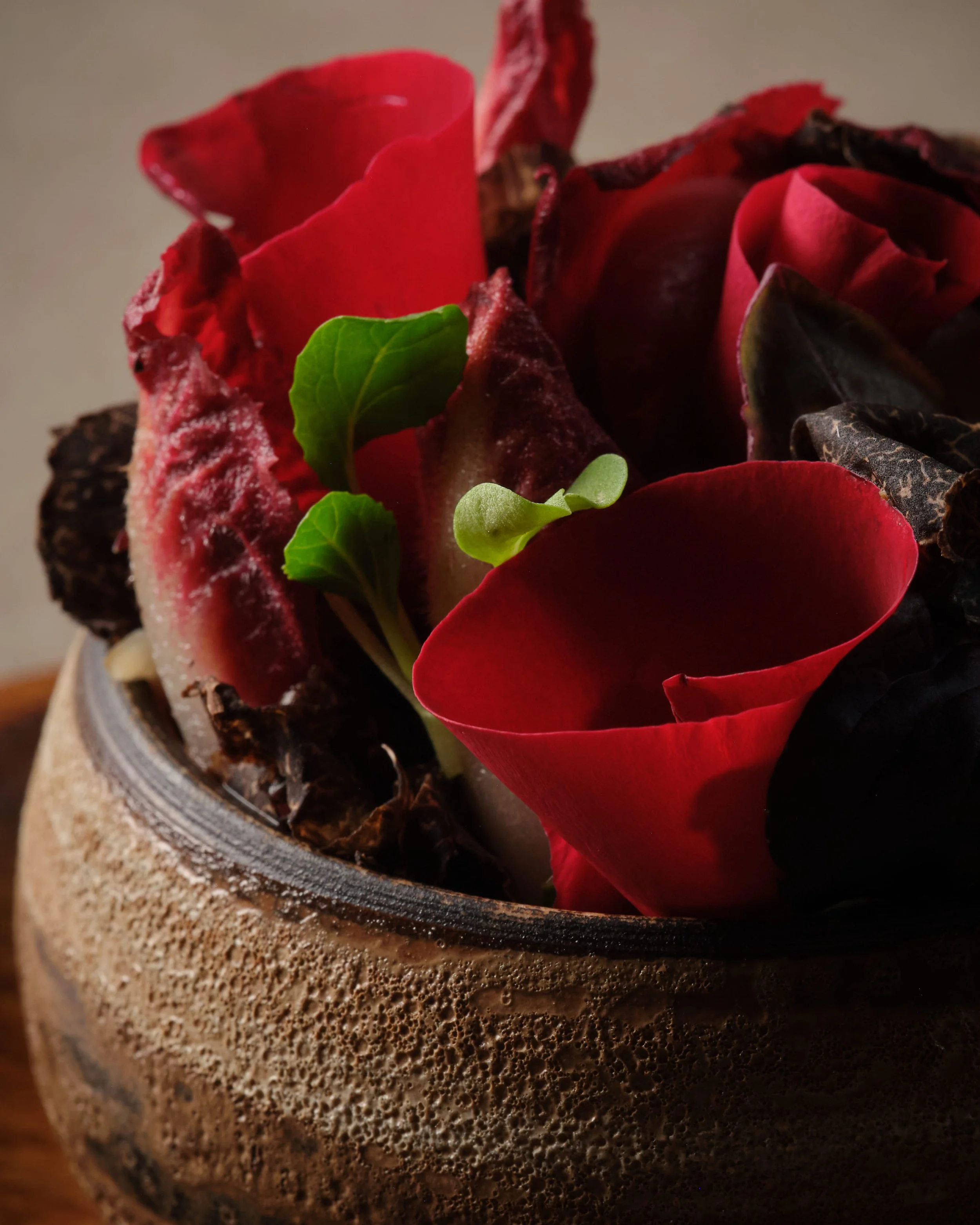 Spring is Early, Gardens in Bloom, The Art of Dining&nbsp;