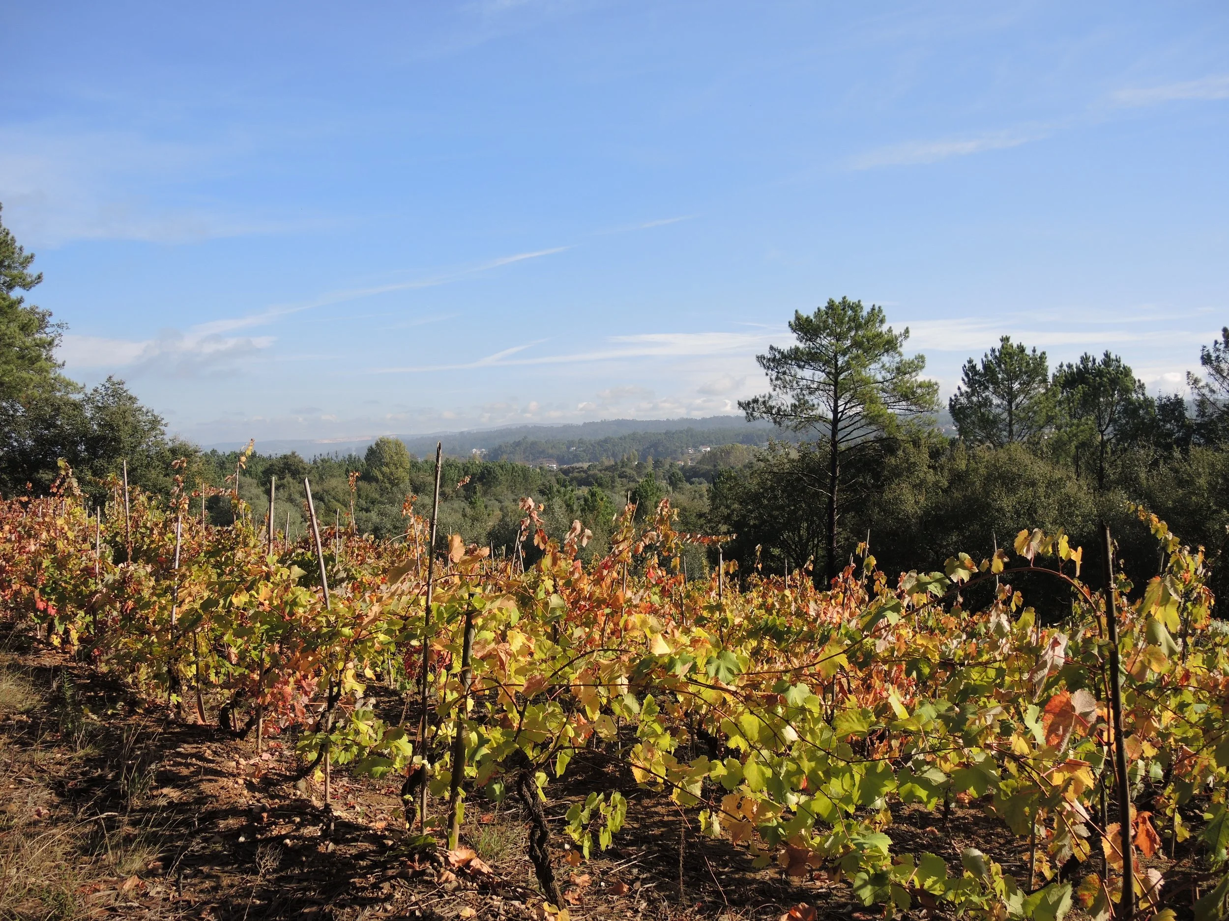 Gusto Sidecar Adventures_local_2593.JPG