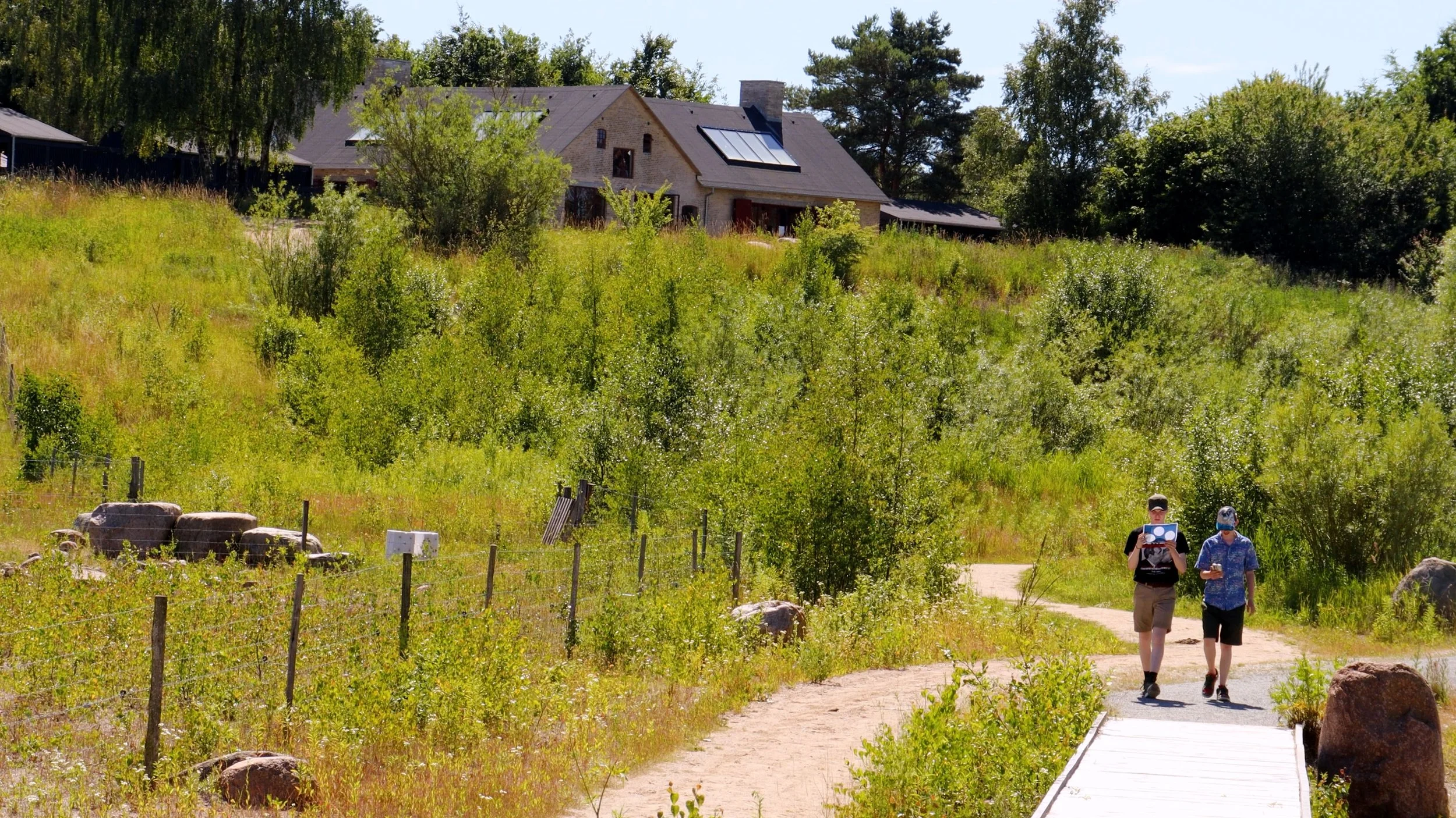 MVI_4826.00_00_48_17 - Kopi.jpg