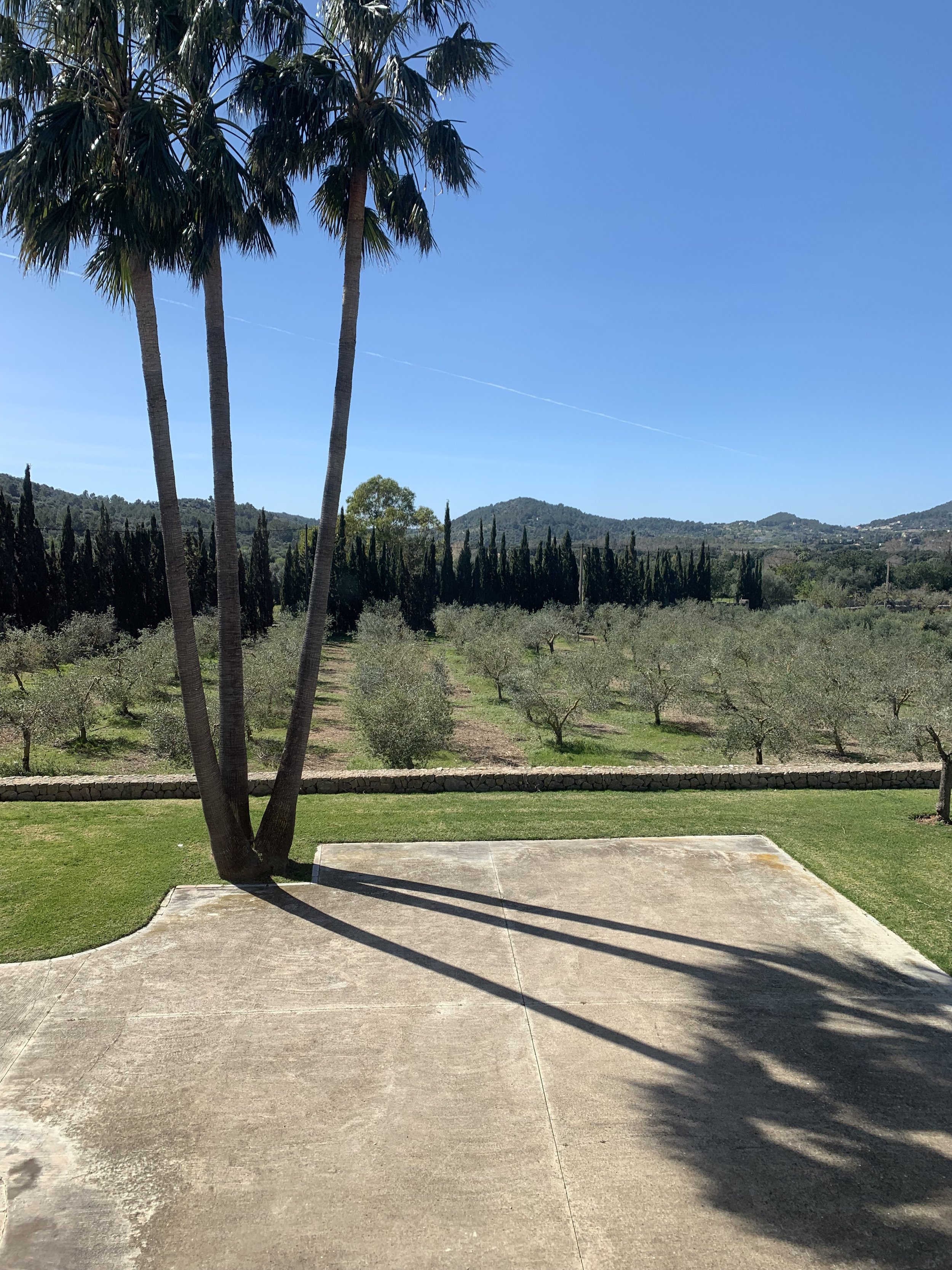 Lovely Finca - Tramuntana