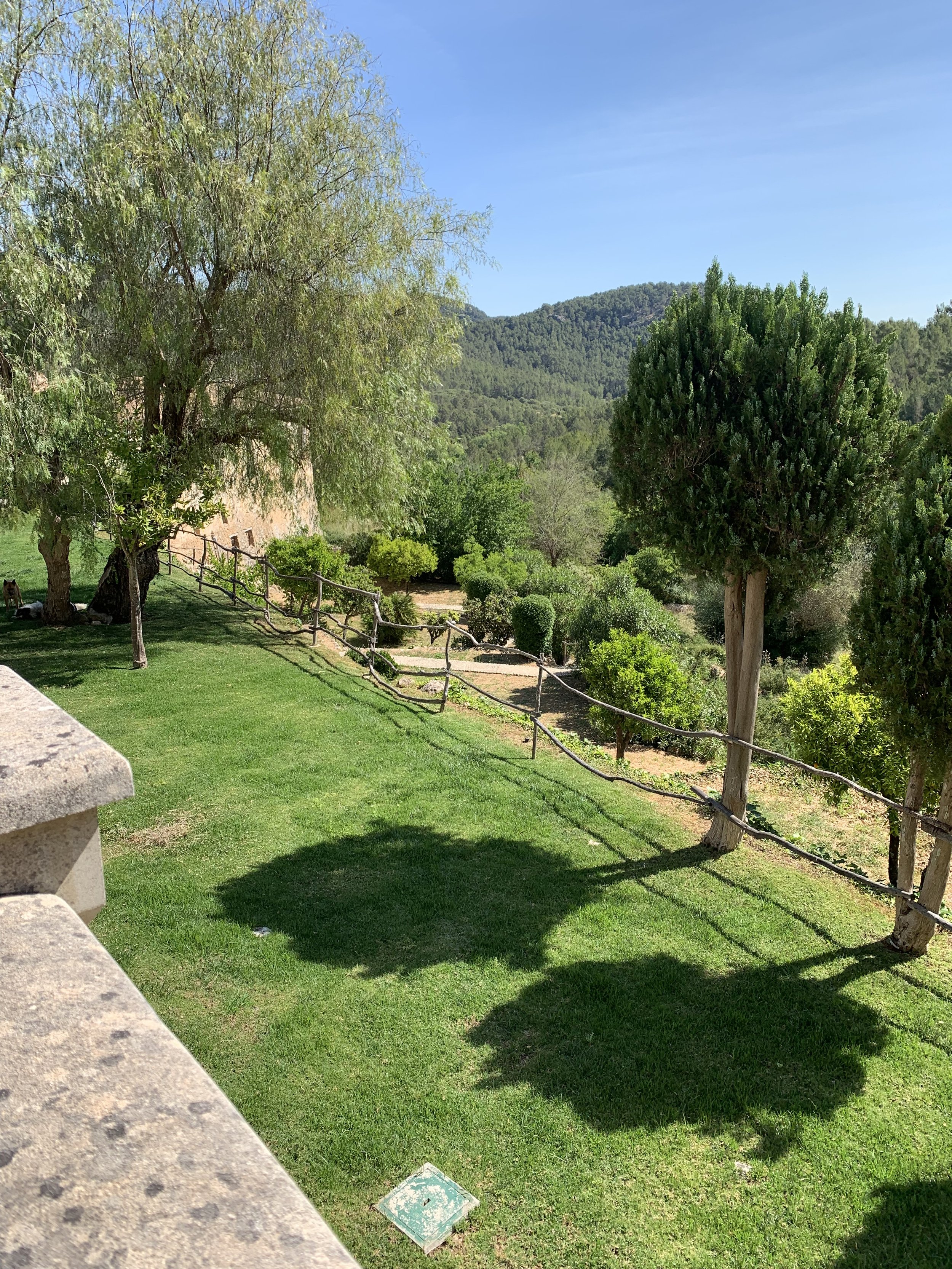 Lovely Finca - Tramuntana