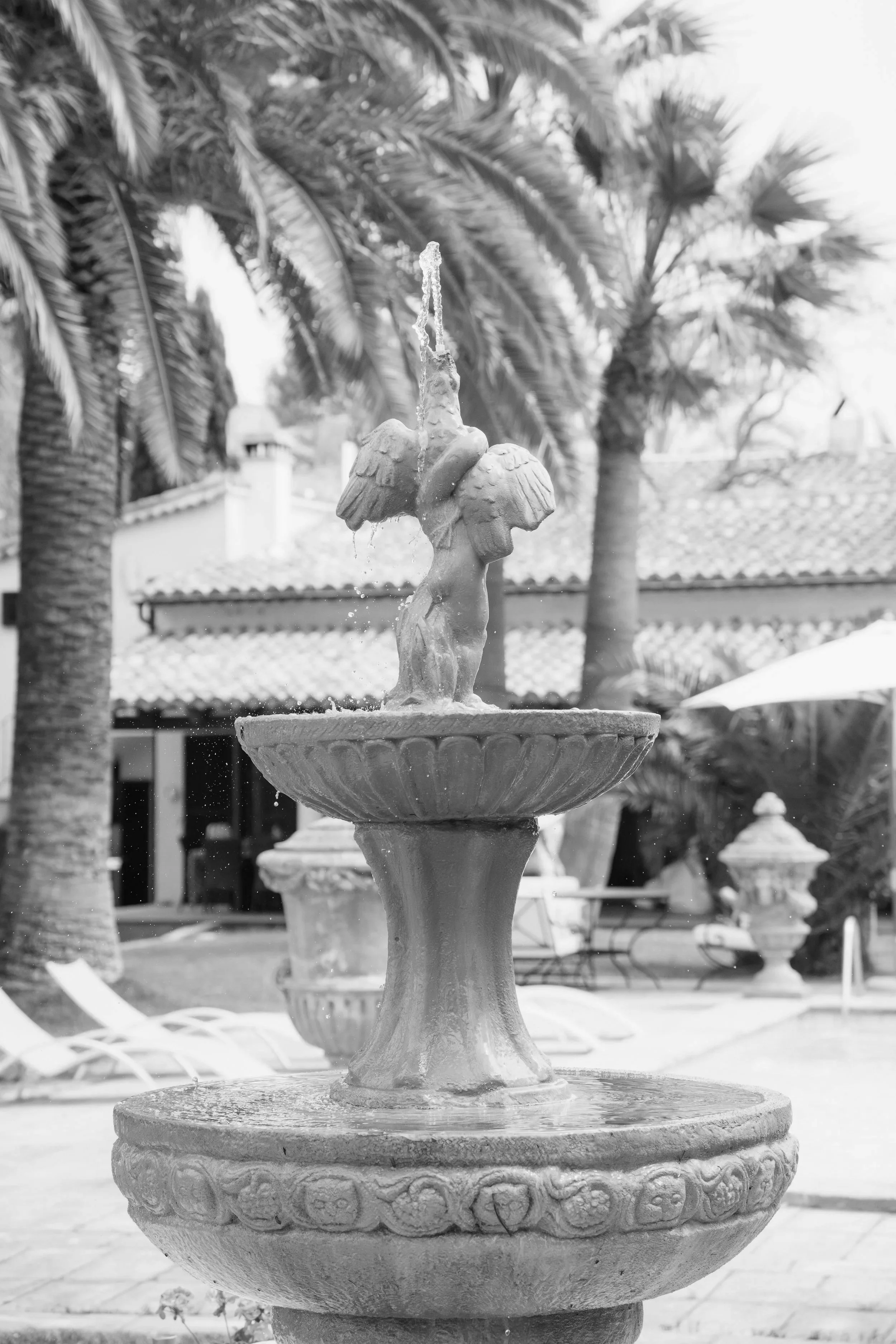 Steinerne Wasserskulptur mit zwei geflügelten Figuren in einem Garten mit Palmen im Hintergrund.