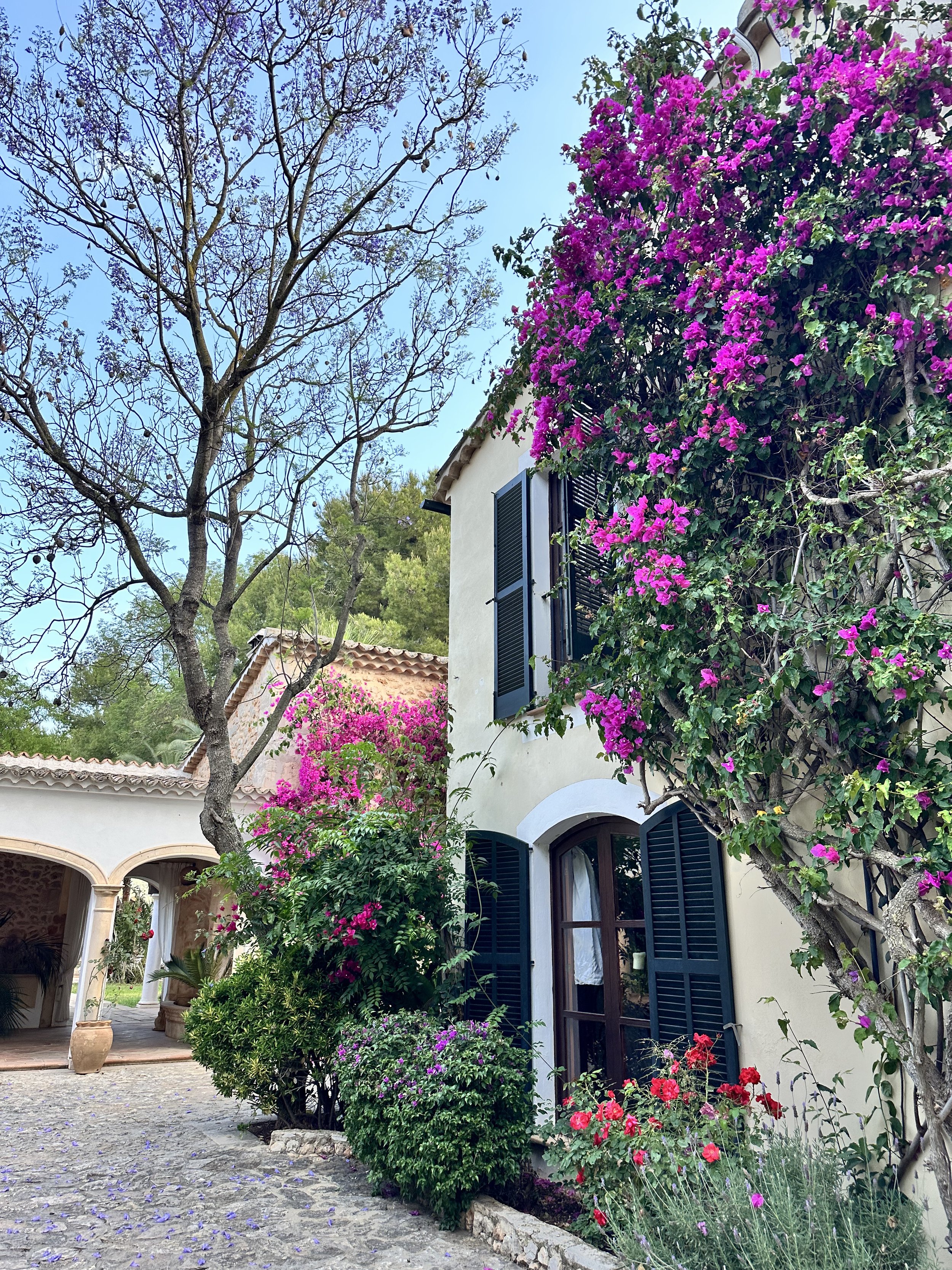 Lovely Finca - Inselmitte