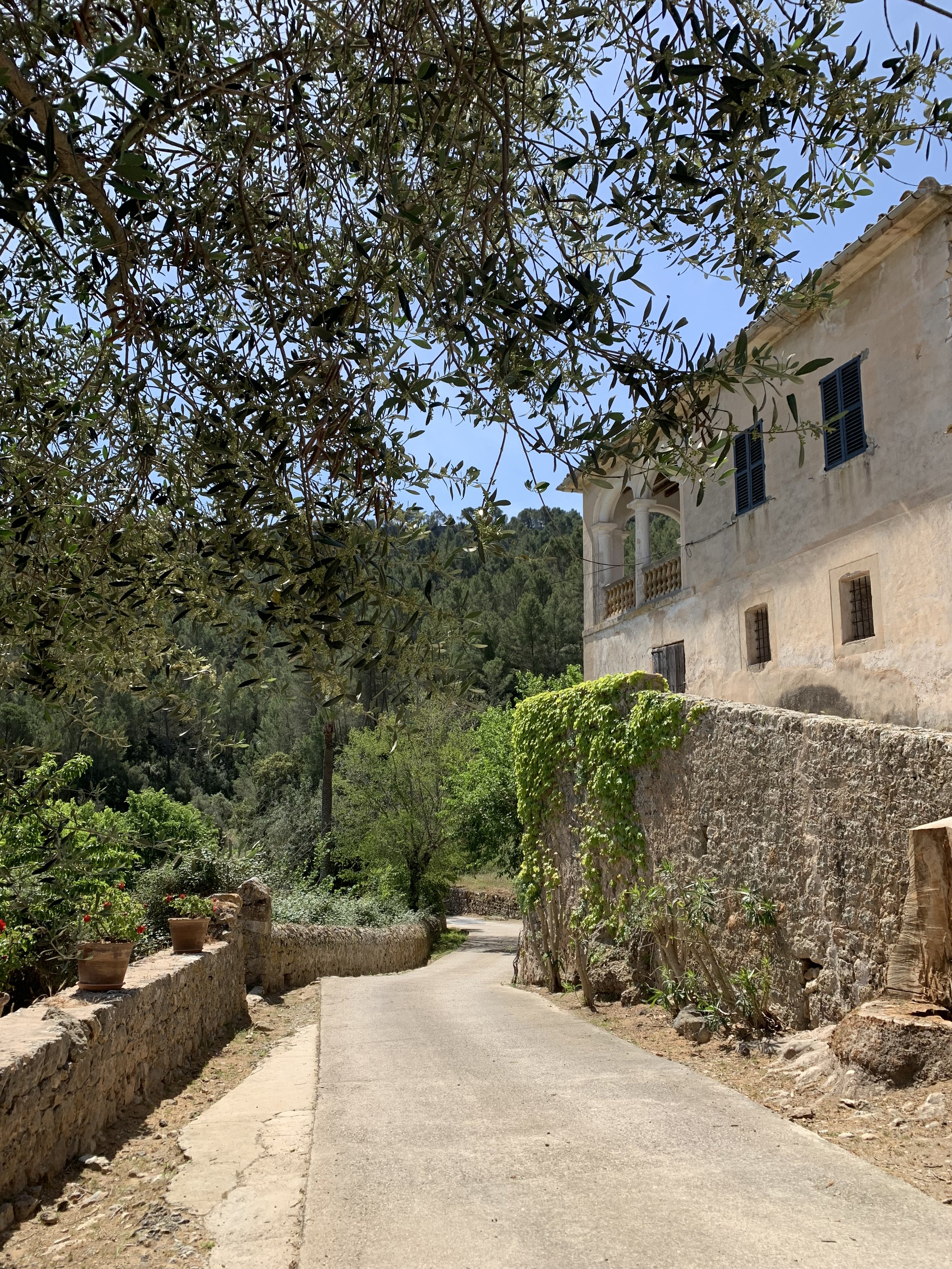 Lovely Finca - Inselmitte