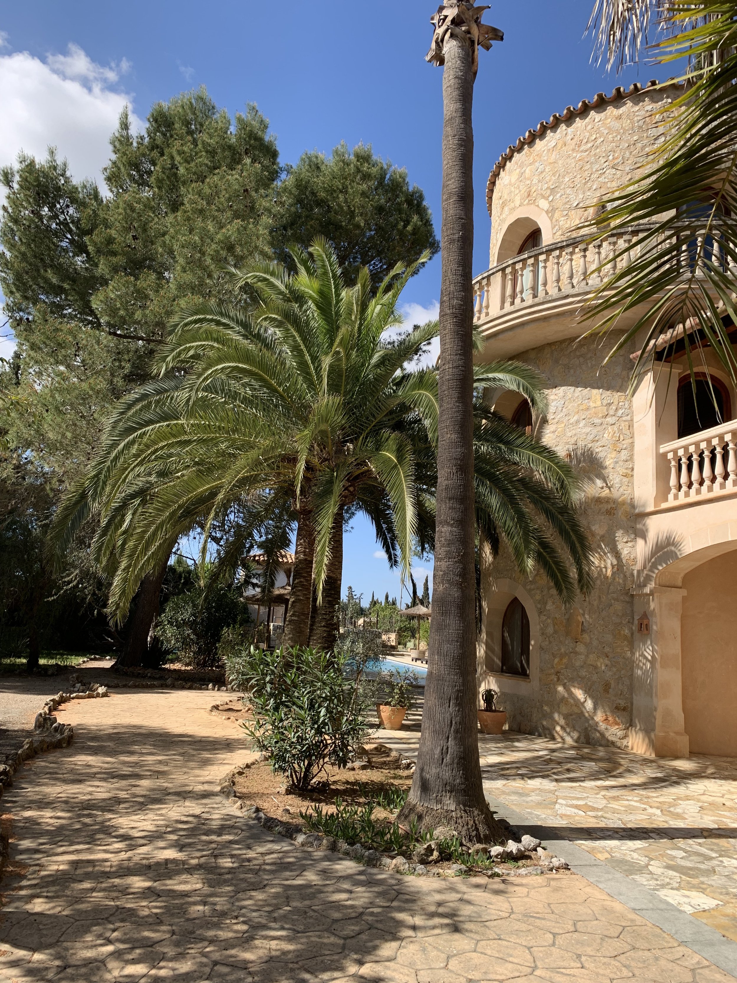 Lovely Bodega Finca - Inselmitte