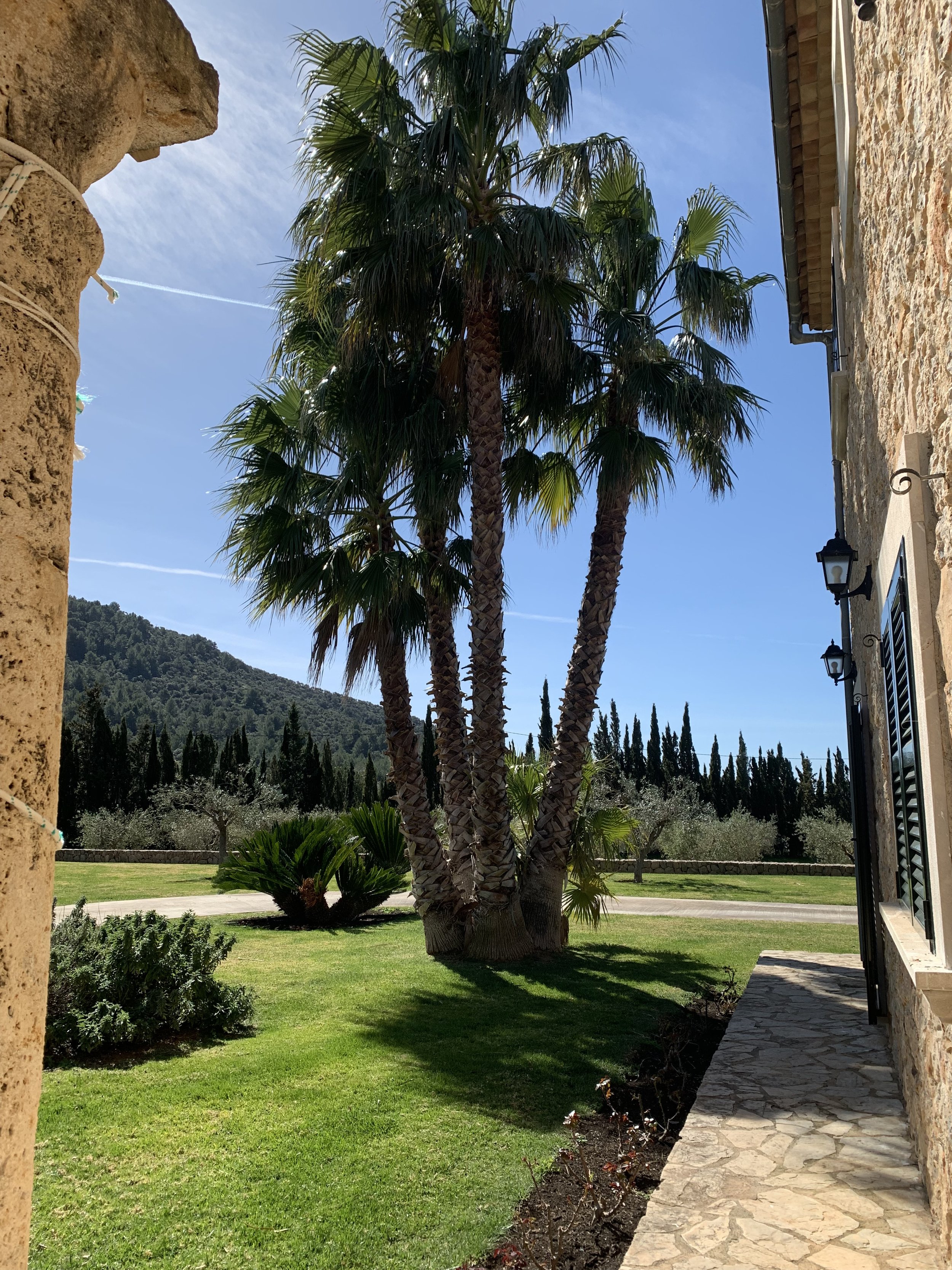 Lovely Finca - Tramuntana
