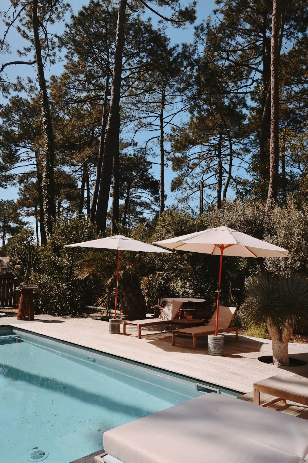 Piscine et transats en bois sous les pins parasols, ambiance estivale — détente après le surf lors d'une retraite yoga au Cap Ferret