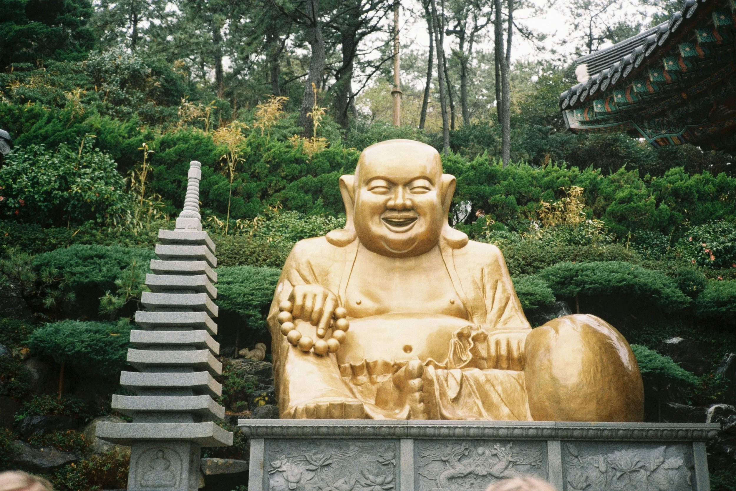 Statue de Bouddha entourée de verdure, reflet de la sérénité et de l’éveil intérieur. Un hommage au lien entre spiritualité et monde vivant.