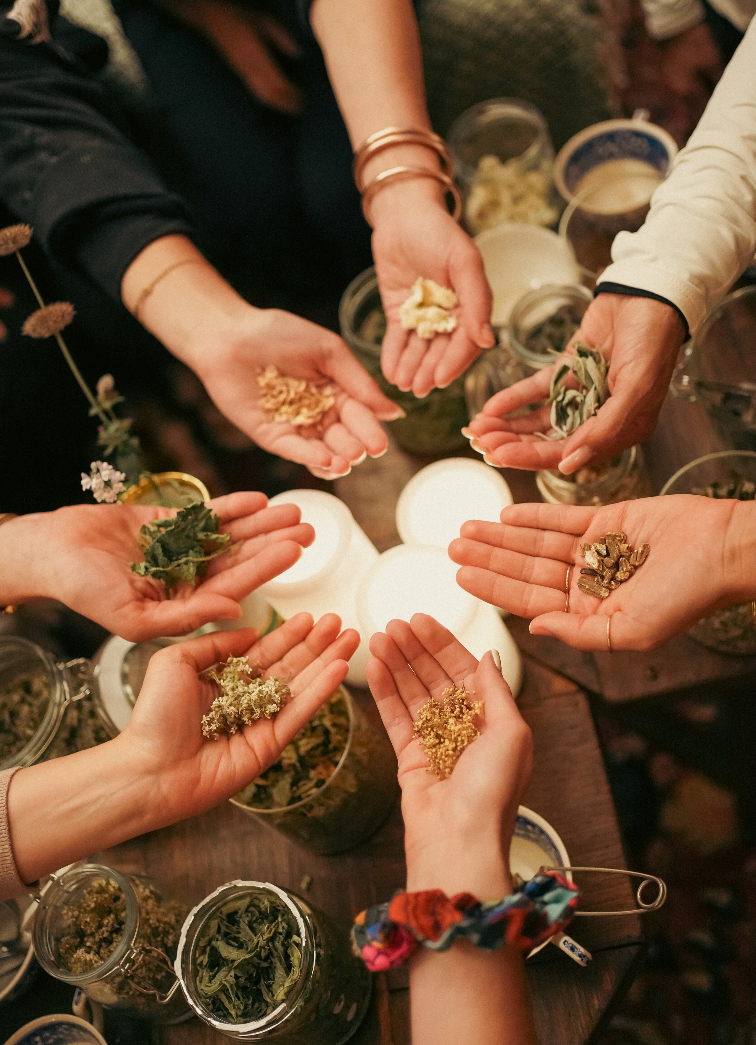 Atelier d’herboristerie intuitive et de remèdes naturels, une pratique phare du séjour yoga et bien-être dans l’arrière-pays occitan.