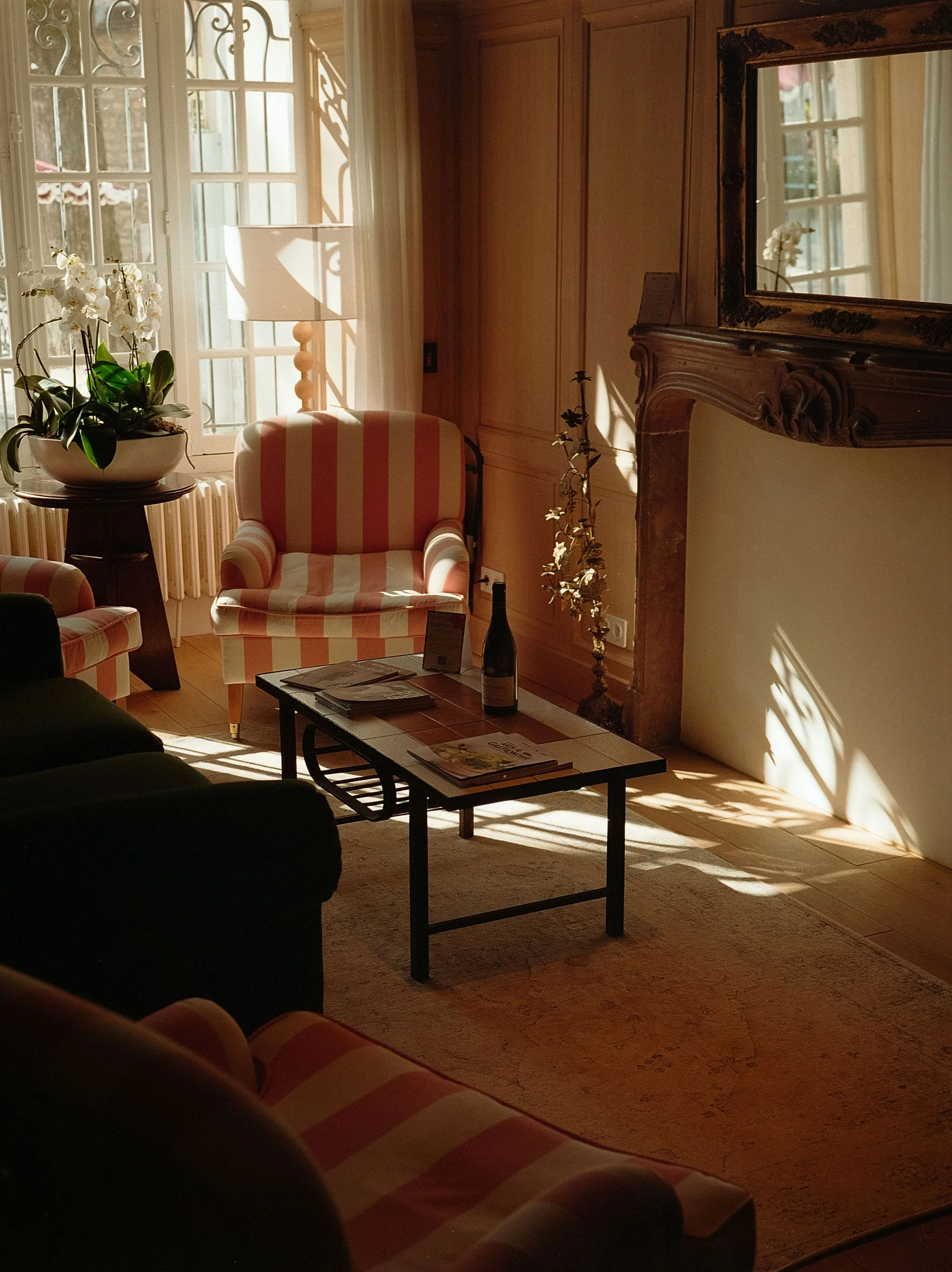 Salon chaleureux et lumière douce, idéal pour se reposer entre les sessions de yoga et les dégustations de vin bio en retraite hivernale.